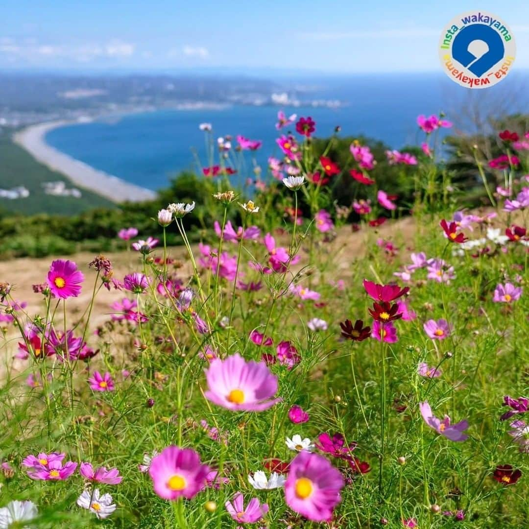 和歌山県のインスタグラム