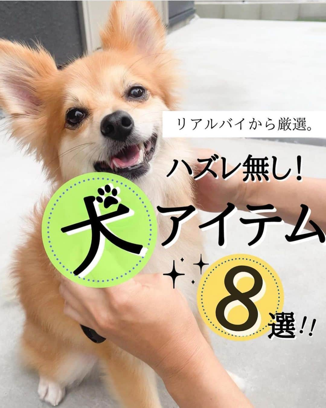 4yuuu!さんのインスタグラム写真 - (4yuuu!Instagram)「「買ってよかった🗣️」と思える☝️ わんちゃん🐶グッズ❣️  今回は、 @kon__home_ さんの投稿をお借りしてご紹介します♪ ＝＝＝＝＝＝＝＝＝＝＝＝＝＝＝＝＝＝＝＝＝＝＝＝＝ 今日は、地味にリクエストの多かった、 我が家のキツネグッズをまとめたよ🦊🫶🏻 ⁡ ⁡ 特にキツネはペットベッドがお気に入りみたいで、 お留守番以外のフリーの時でも ここで爆睡してることも多いよ😴 ⁡ ⁡ 給水器は、今まで２種類使ってきたけど、 これに変えてから飲みやすいみたいで、 がぶ飲みしまくってる。笑 特にペットボトルから直接飲むタイプの使ってる人は 変えてあげると喜ぶと思うよ🐕✨ ⁡ ⁡ わたしのフォロワーさんは、 わんこ飼い(かつ、同じ親ばか😉)や、 これからわんちゃん飼いたい人が多い気がする🤍 ⁡ ⁡ 良ければ、おすすめのおやつやおもちゃ (長持ちするやつ。笑)を 教えてもらえると嬉しい〜🐕🐩🦮🐕‍🦺💗💗 ⁡ ⁡ 紹介商品は、#楽天roomに載せています 🤞🏻 コレクションからチェックしてみてね🦊 ⁡＝＝＝＝＝＝＝＝＝＝＝＝＝＝＝＝＝＝＝＝＝＝＝＝＝ #家づくり #マイホームアカウント #29坪 #30坪の家 #後悔しない家づくり #設計士と作る家 #コンパクトハウス #後悔しない家づくり #愛犬との暮らし#ペットスペース #犬スペース #ドッグスペース #犬と暮らす家 #犬と暮らす家づくり #わんこのいる生活 #犬の部屋 #犬との暮らし #犬との生活 #ペットベッド #ペット用ベッド #ペット用品 #furbo #ファーミネーター #ゴミ箱 #トイレトレー #給水器 #首輪 #犬のおやつ」10月16日 17時11分 - 4yuuu_com