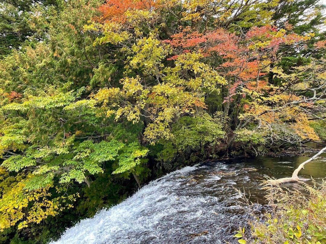 依田司さんのインスタグラム写真 - (依田司Instagram)「10月16日（月） 今年の紅葉中継1回目は、栃木県奥日光の「湯ノ湖」から。 標高1,478メートルの場所にある湖で、一周3キロ程の遊歩道は、高低差も少なく歩きやすく紅葉狩りにも最適です。 湖畔の北側には白濁の名湯「日光湯元温泉」が。反対の南側には「湯滝」があり、その先、「戦場ヶ原」、「竜頭の滝」、「中禅寺湖」へと注ぎ、日本三大名瀑の一つ、「華厳の滝」へと続いていきます。 残暑が長引き、色付き始めが遅かった奥日光の紅葉ですが、見頃の時期は例年通りとなる見通しで、今週から来週にかけて、標高の高いところから低いところへと次々に見頃となる見込み。  #奥日光湯ノ湖 #依田さん #依田司 #お天気検定 #テレビ朝日 #グッドモーニング #気象予報士 #お天気キャスター #森林インストラクター #グリーンセイバーアドバンス #プロジェクトワイルド #IPCC伝導者 #japan #japantrip #japantravel #unknownjapan #japanAdventure #japanlife #lifeinjapan #instagramjapan #instajapan #療癒 #ilovejapan #weather #weathercaster #weatherforecast」10月16日 9時02分 - tsukasa_yoda