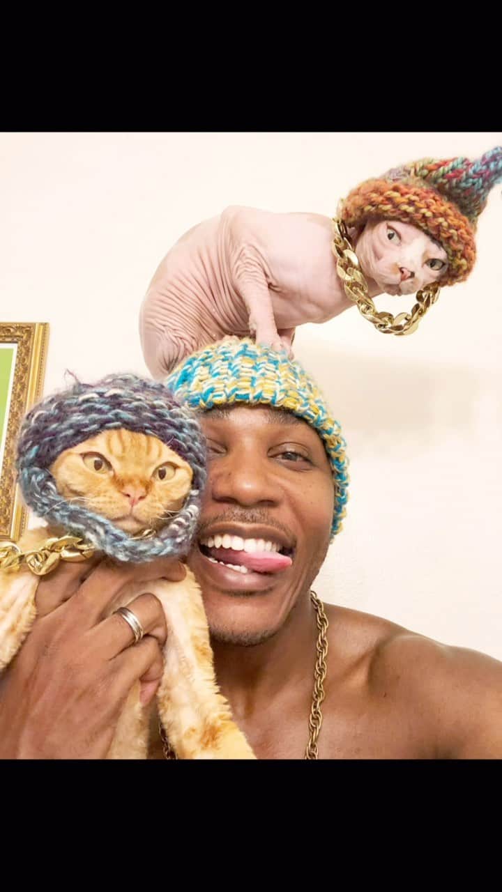 MSHO™(The Cat Rapper) のインスタグラム：「Back for the THIRD time today. Shoutout to all my cat people, Just wanted to make y’all smile before we relax for the day. Love all of y’all and thanks for loving your cats. Never give up on YOURSELF. Let us know if it worked?❤️ #TheCatRapper #CatMan #CatDad #CatMom #CatDaddy #Catlady #MoGang」