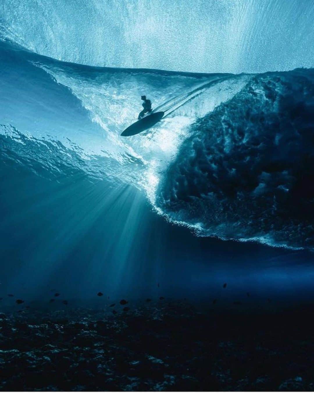 トレバー・ジャクソンさんのインスタグラム写真 - (トレバー・ジャクソンInstagram)「Ride The Wave. #thelovelanguage」10月16日 9時25分 - trevorjackson5