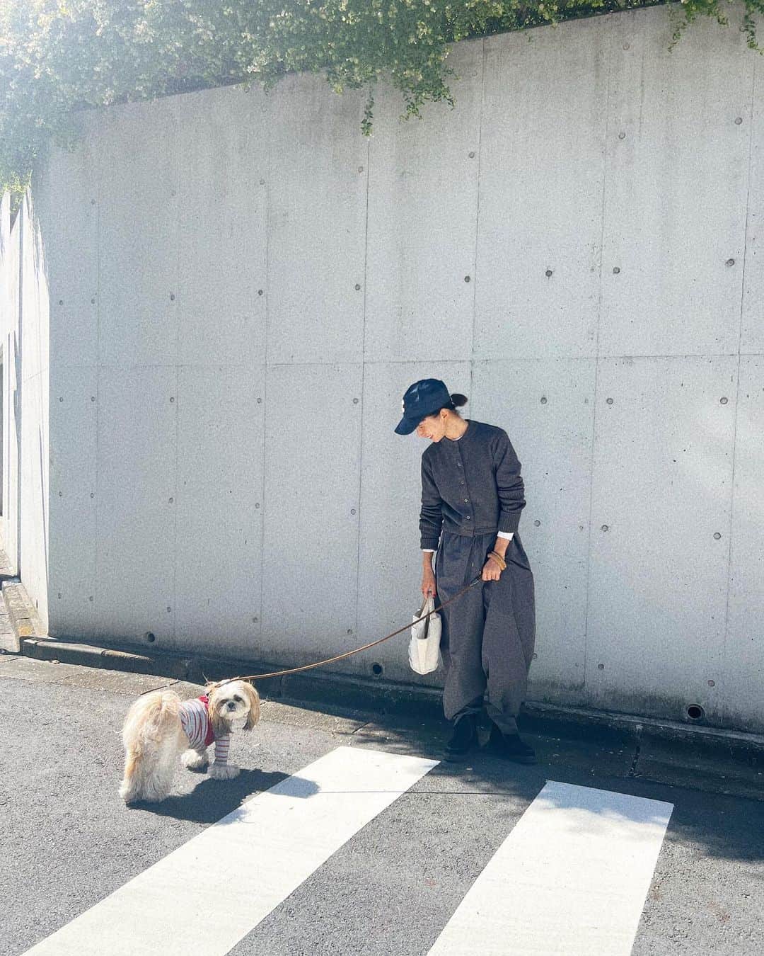 kazumiさんのインスタグラム写真 - (kazumiInstagram)「昨日の天気がウソのような 心地良い天気☀️✨  今日は @studioclip ×kazumiコラボモカシンショートブーツのブラックを合わせたよ🖤  @shinzone_official のニット @astraet_jp のパンツ @celine のキャップ  ちょっと寒くなったからカブキもお洋服 投入🩶 #studioclip#kazumiコラボ#kazumi#shinzone#astraet#celine#カブキ#犬のいる暮らし#dog#」10月16日 11時27分 - kazumi0728