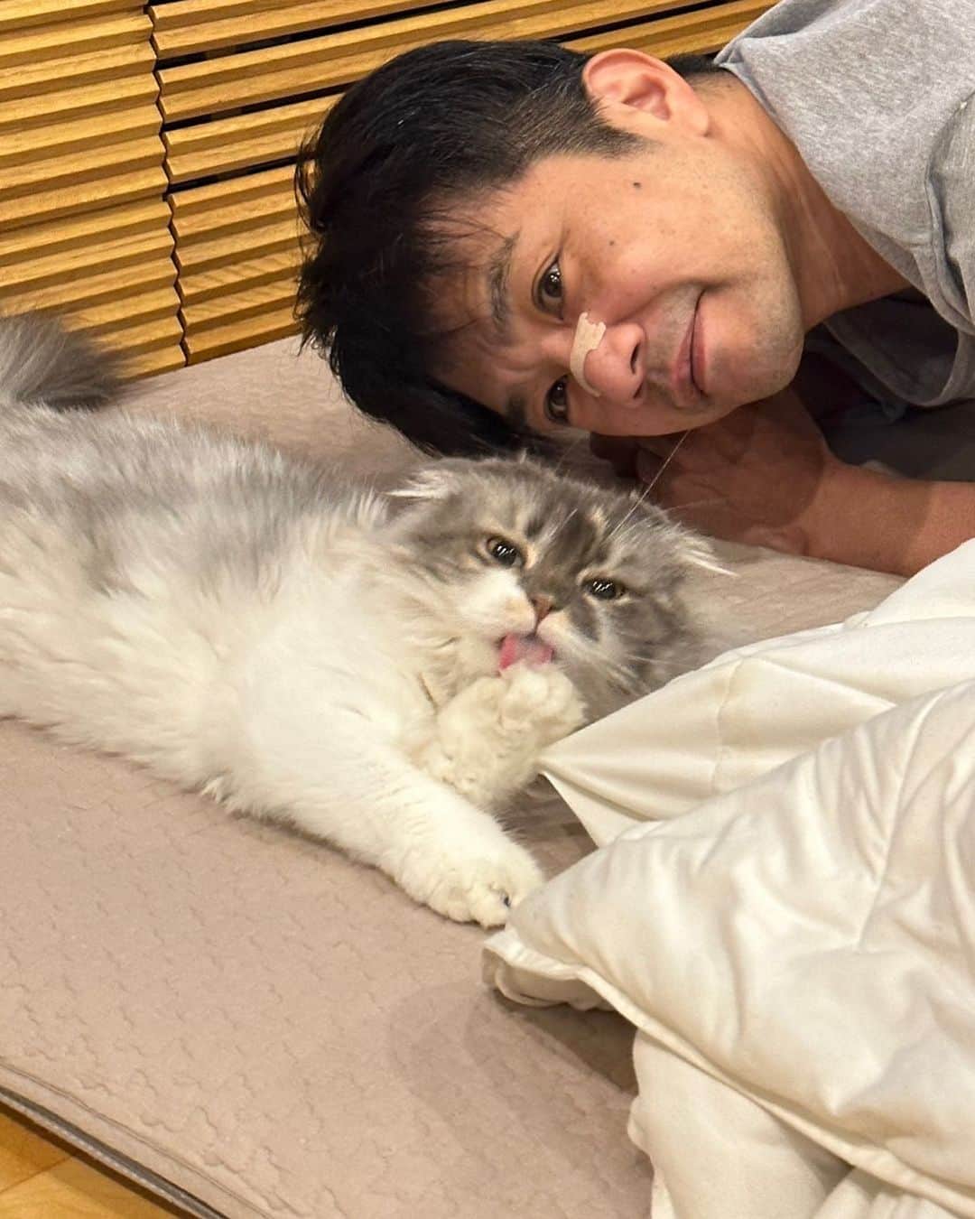 のインスタグラム：「#おもちペロン」