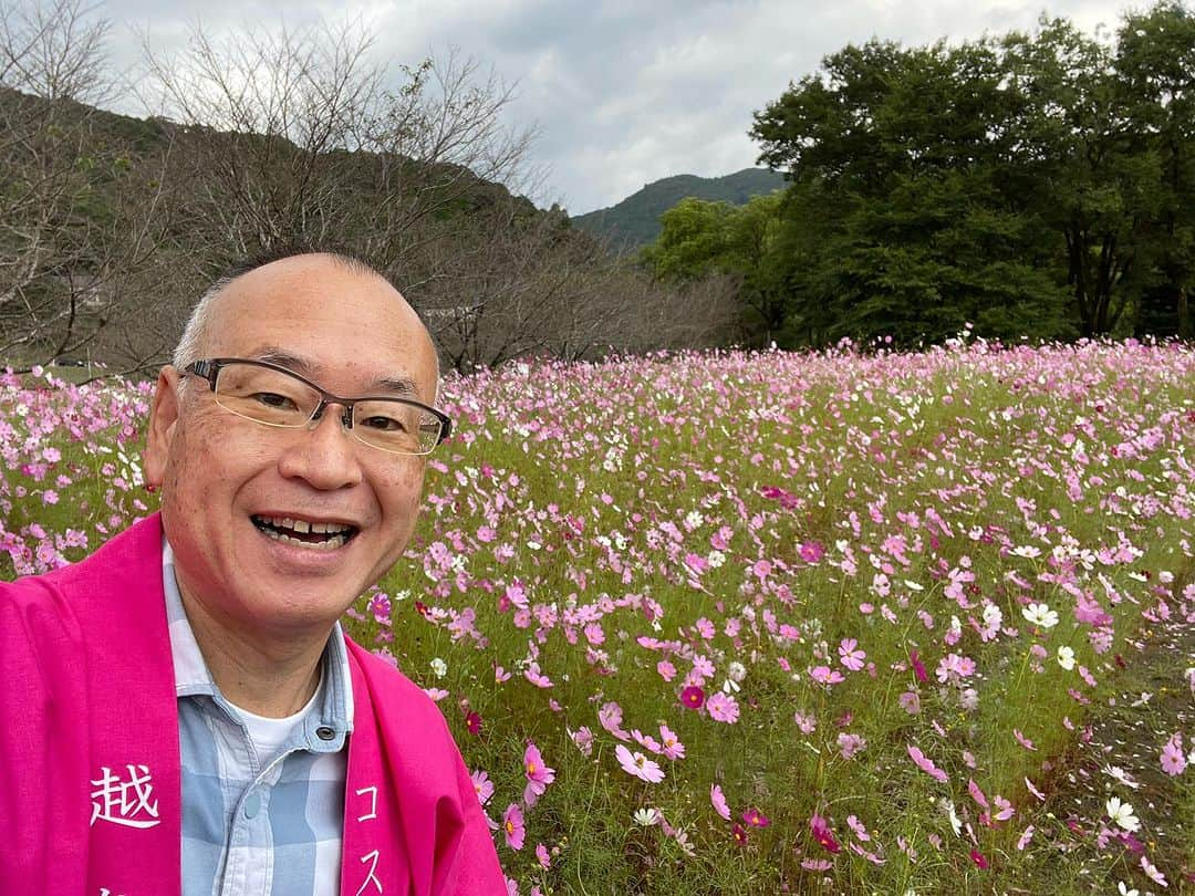 藤崎靖啓のインスタグラム：「越知町コスモスまつり🌸🎤 最終日が満開で、最高の人出🤗✌️ ステージも最高潮🎼  #越知町 #越知町観光協会 #コスモスまつり #藤ちゃん #藤崎靖啓 #フリーアナウンサー #司会業」