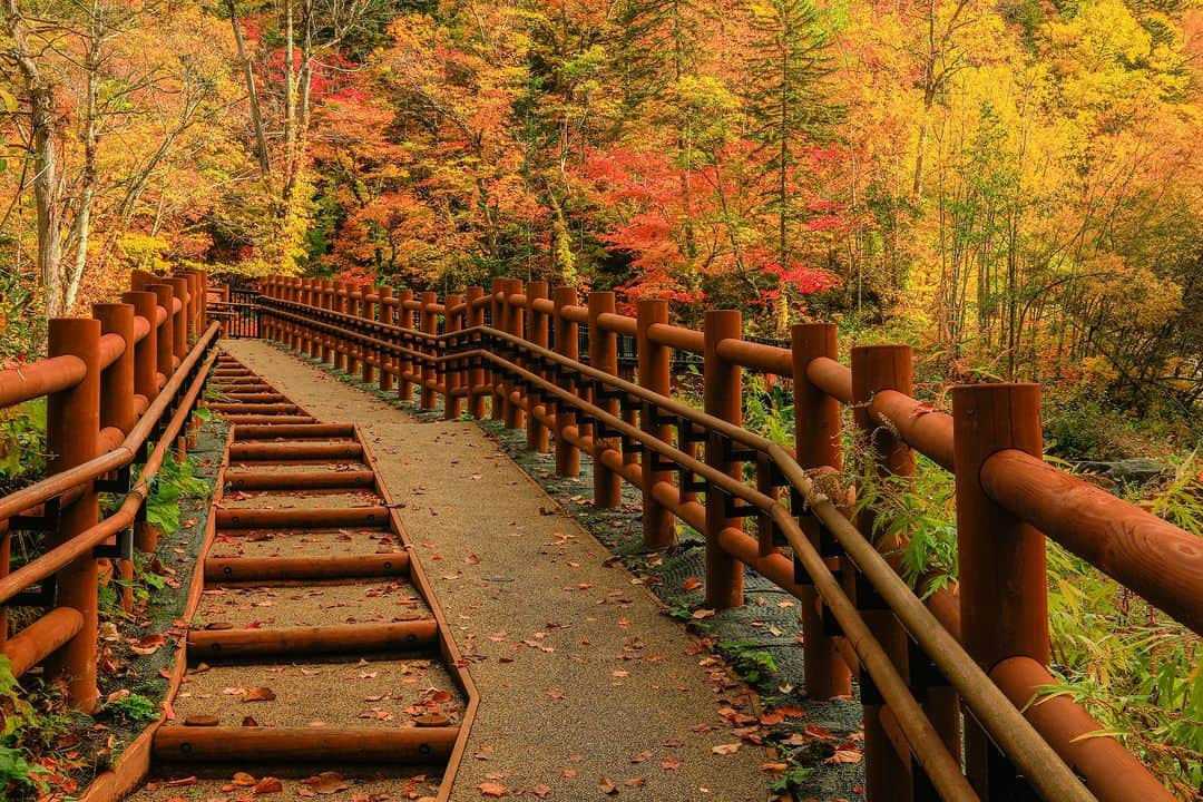 北海道じゃらん【公式】のインスタグラム