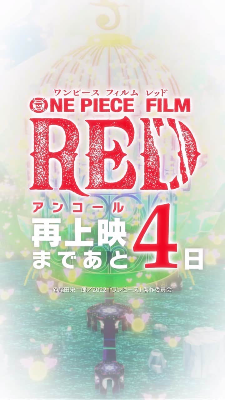 ONE PIECEスタッフ公式のインスタグラム