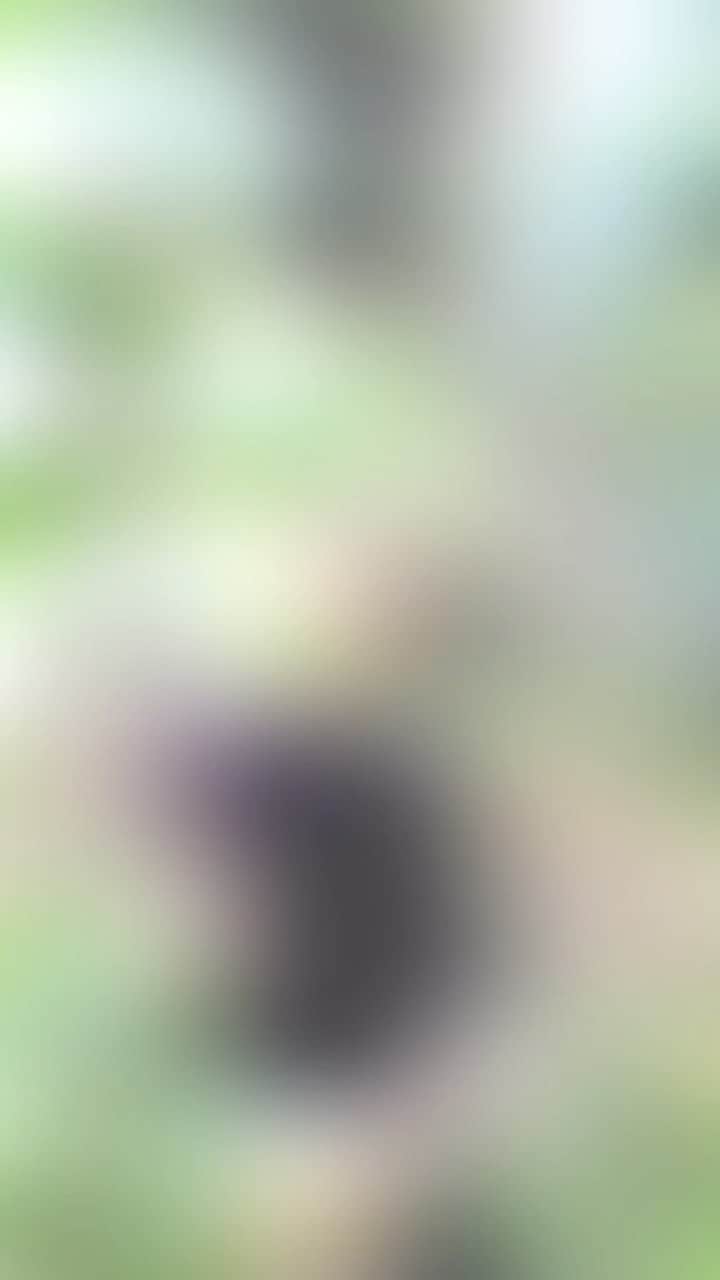 谷川正憲のインスタグラム：「秋です。 もう一年中秋がいいですね。  そやかて君、秋が続けてきたらどないなりますか。  そりゃあ、"飽き飽き"するっちゅうてね！！  しっつれいしました〜。」