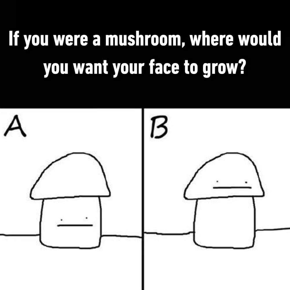 9GAGさんのインスタグラム写真 - (9GAGInstagram)「🍄  - #if #mushroom #9gag」10月16日 13時00分 - 9gag