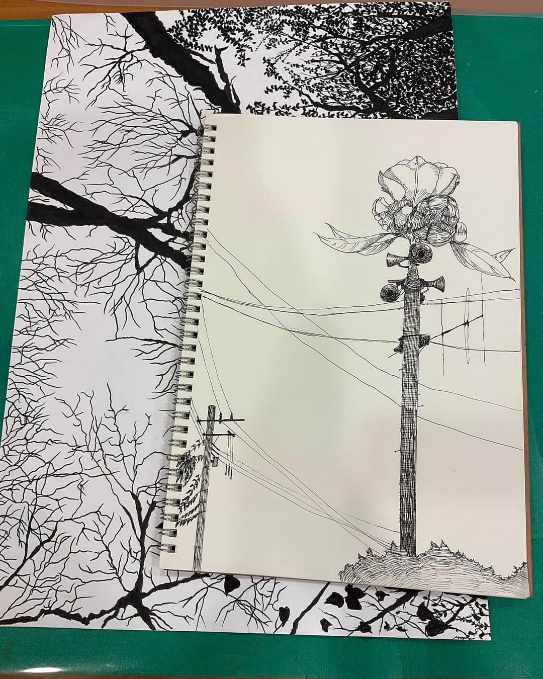 野島健児のインスタグラム：「お絵描き配信したよ  ゲストの透也の描いたのが電線のやつ  オレのはまだ描き途中の森」