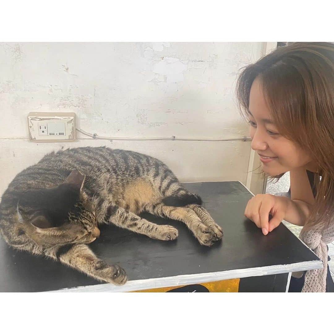 真下玲奈のインスタグラム：「こんにちは〜🌼🌼🌼  フラワーエッセンスを始めて いつもは誰かの為に！ってなって自分は後回しだったけど、ここ最近「自分ファースト」になれてきてるなと実感。 部屋の掃除をして、ヨガして 勉強して とっても心地がいいです。  みんなは最近はどうですか？  #最近の気づき #フラワーエッセンス #フラワーエッセンスセラピー  #ちょっとした報告 #猫すき #癒しの時間」