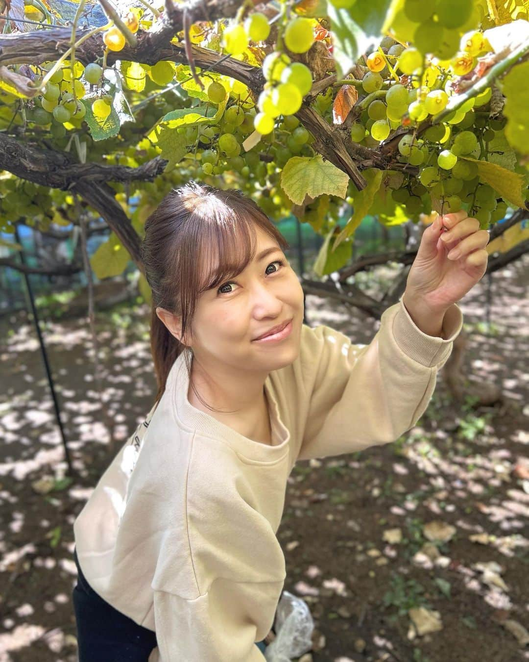 室谷香菜子のインスタグラム：「晴天の下のぶどう狩り🍇♡  #北海道 #札幌 #ぶどう狩り #秋ですね #5歳男の子 #男の子のママ #5歳 #男の子 #保育園ママ #子育てママ #kidsgram #子育て日記」