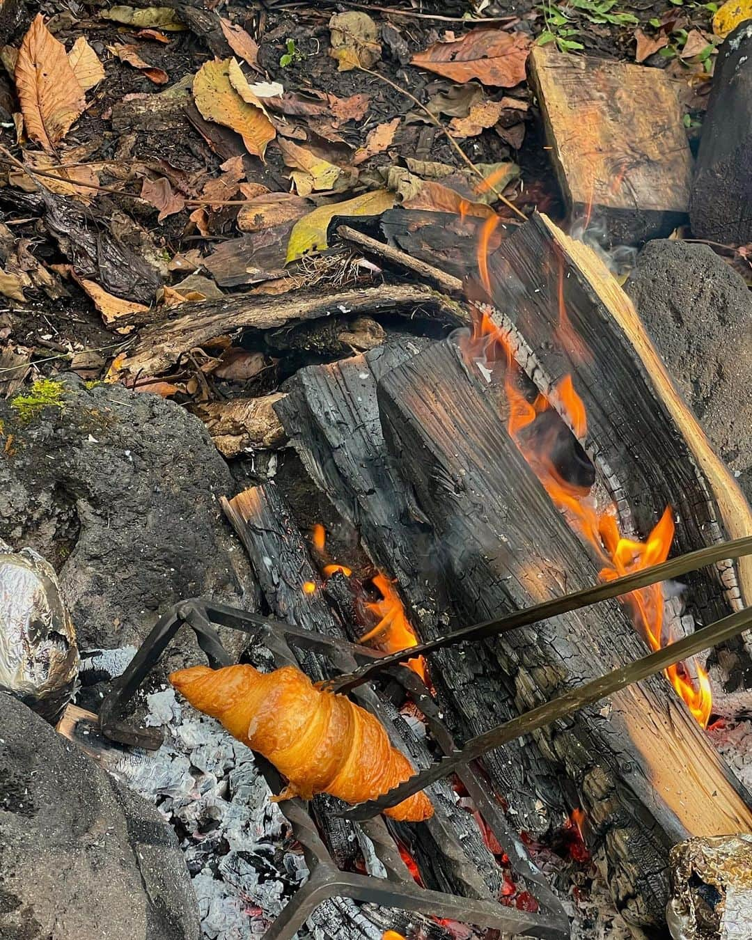 山野ゆりさんのインスタグラム写真 - (山野ゆりInstagram)「🥐×🍷×🌲×♡  軽井沢の素敵過ぎるお家にお邪魔させていただき、 @daco.pan パンを炭焼き×美味し過ぎるワイン達でご機嫌過ぎた週末🥹」10月16日 15時03分 - yuri.yamano