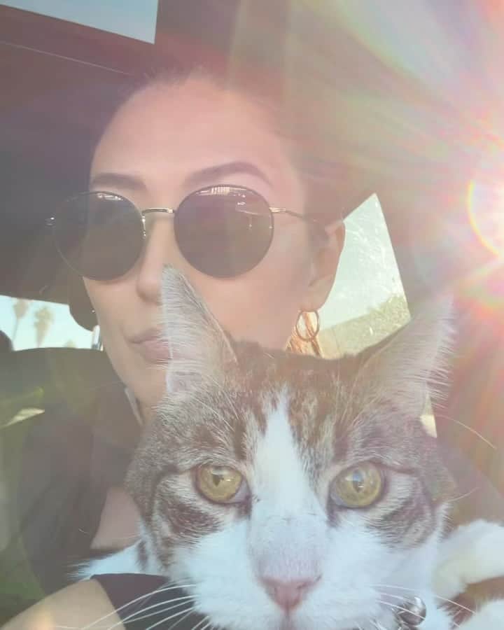 矢吹春奈のインスタグラム：「So sad. My cat Shima has been diagnosed with diabetes and I have to give him shots twice a day. I hope everything is okay with him. 🥺🙏❤️ We love you Shima-chan. ❤️ 2023.10.15」