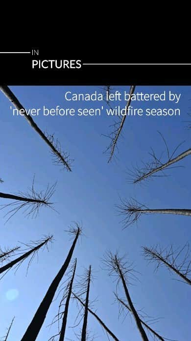 AFP通信のインスタグラム：「Canada left battered by 'never before seen' wildfire season  From east to west, Canada experienced a historic fire season that struck hardest in Quebec, the country's worst-hit province, forcing many residents to leave everything behind.    📷 @andrejiphoto 📷 @dahul 📷 Mathiew LEISER 📷 Marion THIBAUT」