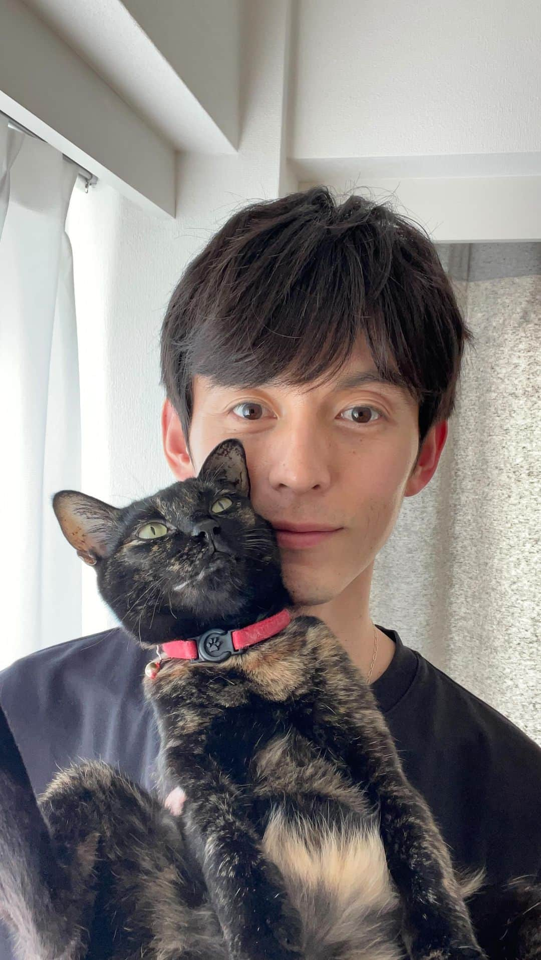 片岡信和のインスタグラム：「週１インスタライブ。 心ここにあらずのココさん、流石だ♪  #猫 #猫のいる暮らし  #ねこ #ねこすたぐらむ  #保護猫 #保護猫と暮らす #家族  #cat #catsofinstagram  #catlover #catlife」