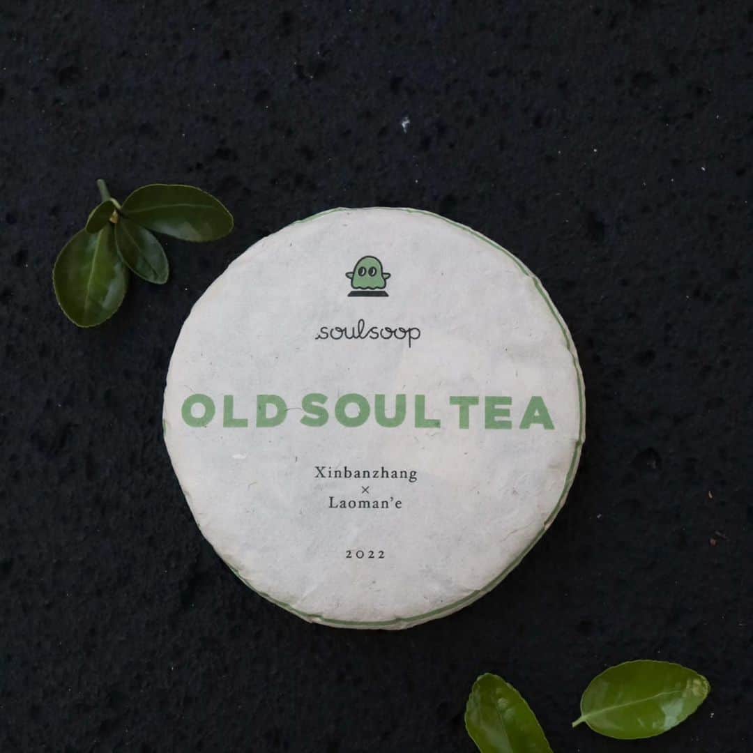 ハ・ヨンジュのインスタグラム：「곧 홈페이지에도 업데이트 되어요🌱 . 소울숲의 '올드 소울티'는 100년 이상 된 차나무의 찻잎으로 만든 고수차(=고수보이차, 보이고수차) 입니다.  쓰고 떫은 맛이 강해 숙성시켜 먹어야 하는 일반 보이차와는 다르게 만든 해에 바로 마실 수 있답니다. 햇차의 향긋함을 느껴보세요.물론 두고 숙성시켜 향긋한 고수차가 세월에 익으며 해마다 깊어가는 차맛을 느껴도 좋아요. 지역은 신반장과 노만아로 단맛의 신반장 특색과 쓴맛의 노만아 특색을 살려 병배하여 밸런스 있는 맛을 느낄 수 있습니다.」