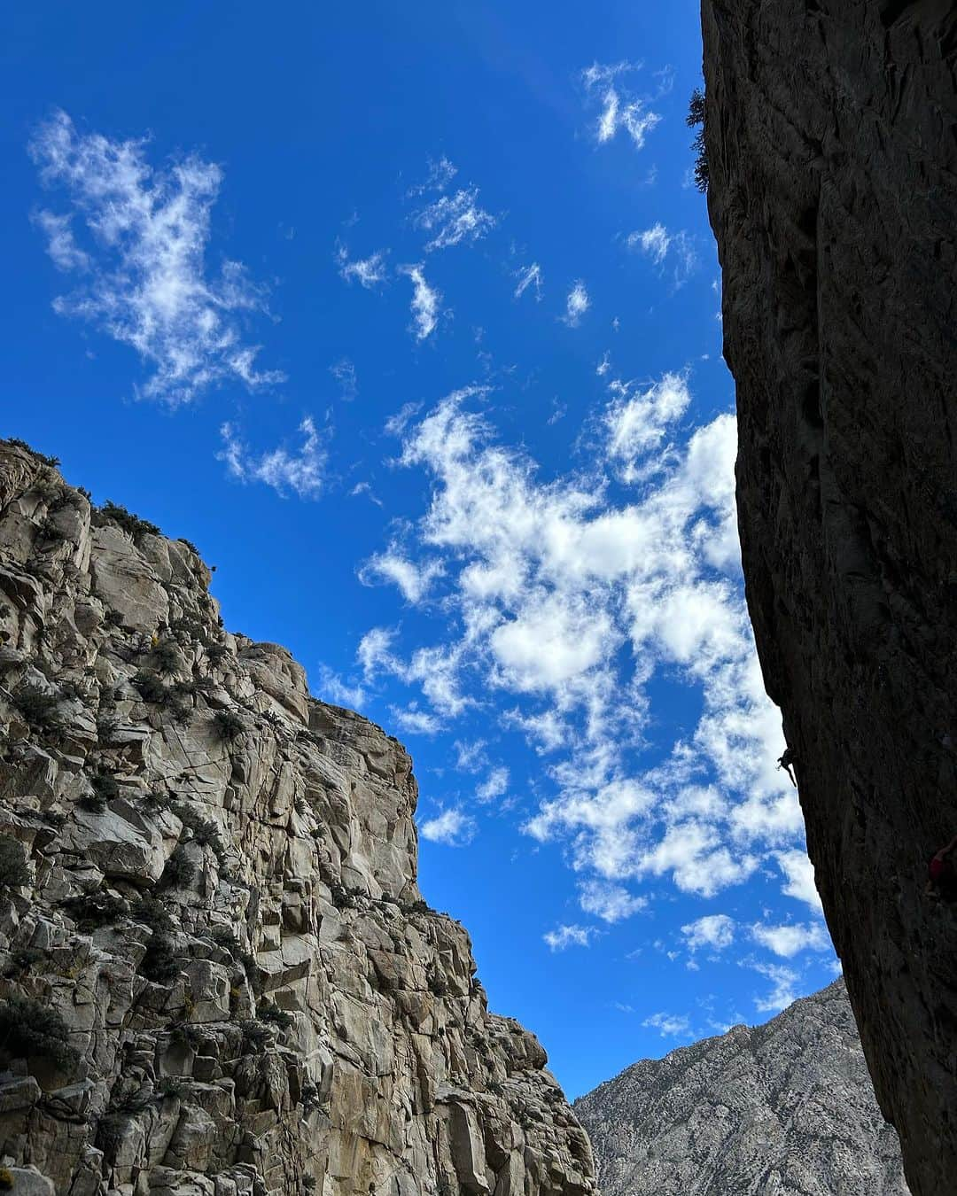 ペイジー・クラッセンさんのインスタグラム写真 - (ペイジー・クラッセンInstagram)「Road trip week 2. Playing in the dirt with friends, finding gratitude holds on the wall, and exploring all the rest day zones. Tired and happy and overwhelmed and really grateful for my family ❤️」10月17日 2時06分 - paigeclaassen