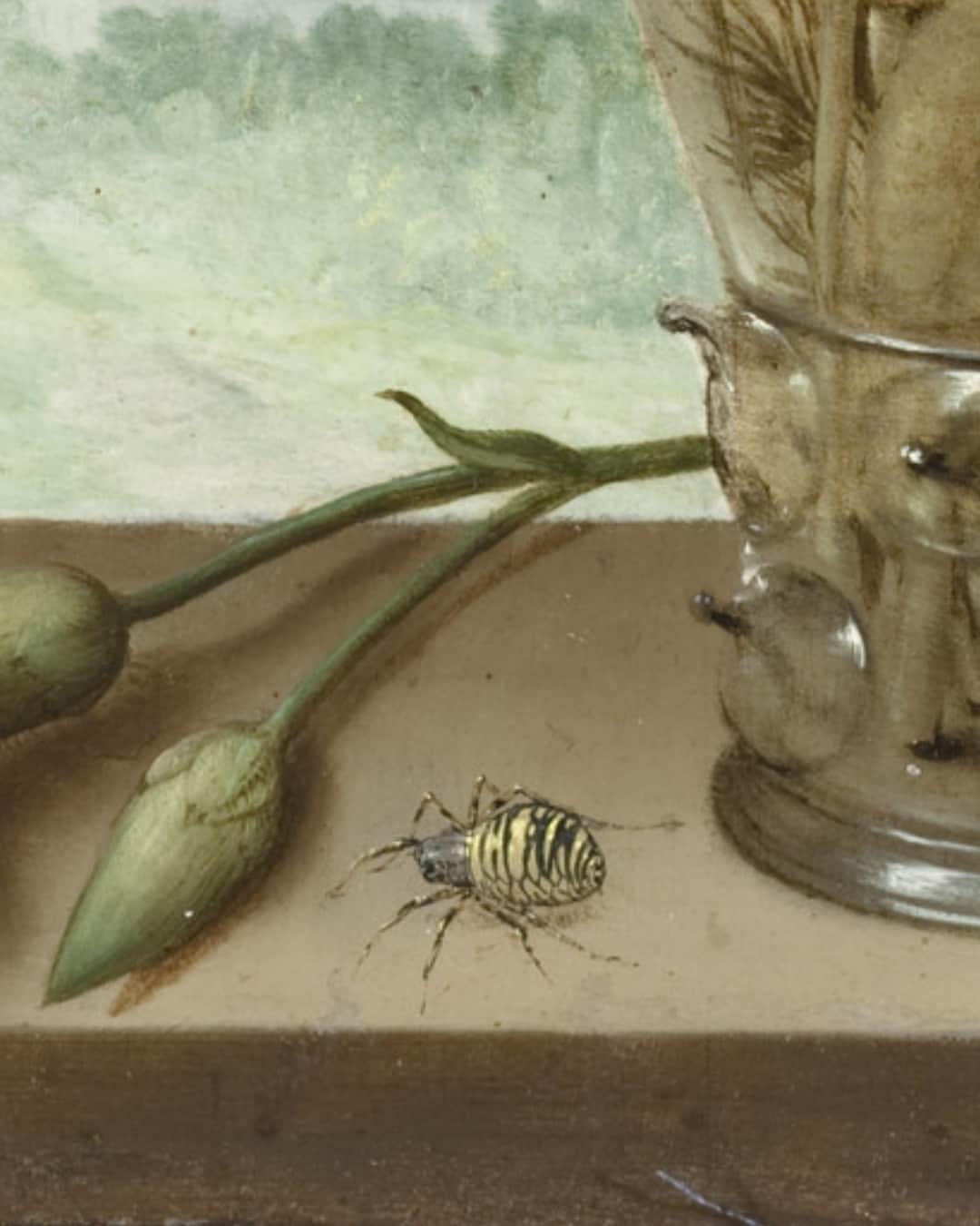 ロサンゼルスカウンティ美術館さんのインスタグラム写真 - (ロサンゼルスカウンティ美術館Instagram)「Some of our favorite details 🌷 🐚 🦋 🐞 💐   Bosschaert's intricate 'Bouquet of Flowers on a Ledge' (1619) is currently on view in The World Made Wondrous: The Dutch Collector’s Cabinet and the Politics of Possession  🔗  in bio for more ↑」10月17日 2時18分 - lacma