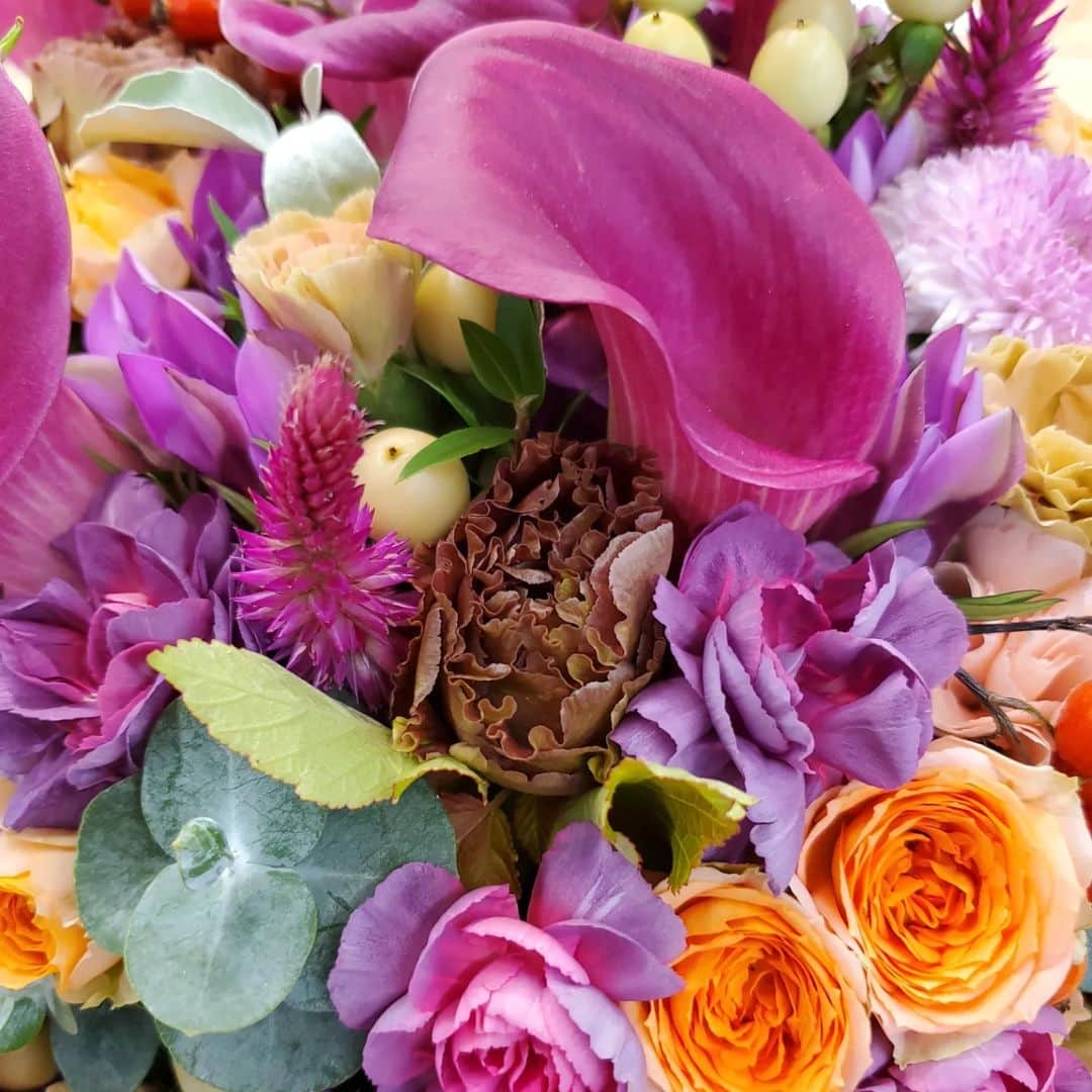植松晃士さんのインスタグラム写真 - (植松晃士Instagram)「コロミさん お花をありがとう🤭」10月16日 17時41分 - kojiuematsu