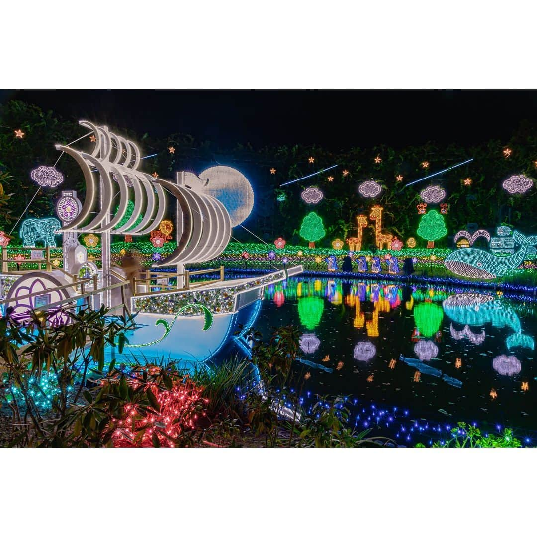 TOBU RAILWAY（東武鉄道）さんのインスタグラム写真 - (TOBU RAILWAY（東武鉄道）Instagram)「. . 📍Tochigi – Ashikaga Flower Park  Experience one of the 3 great illumination displays of Japan! . The illumination in Ashikaga Flower Park has been chosen as one of the 3 great illumination displays of Japan! It features 5 million bulbs, and charms everyone who visits. The illumination events held in the period from mid-October to mid-February are divided into 3 themes. The 1st is the “Fusion of Light and Salvia Leucantha Flowers.” The 2nd is “Christmas Fantasy,” held from late November to late December. The 3rd is the “Competition of Light and Winter-Blooming Peony Flowers.” Enjoy amazing illumination here that you can’t see anywhere else.  . . . . Please comment "💛" if you impressed from this post. Also saving posts is very convenient when you look again :) . . #visituslater #stayinspired #nexttripdestination . . #tochigi #ashikagaflowerpark #illumination #recommend #japantrip #travelgram #tobujapantrip #unknownjapan #jp_gallery #visitjapan #japan_of_insta #art_of_japan #instatravel #japan #instagood #travel_japan #exoloretheworld #ig_japan #explorejapan #travelinjapan #beautifuldestinations #toburailway #japan_vacations」10月16日 18時00分 - tobu_japan_trip