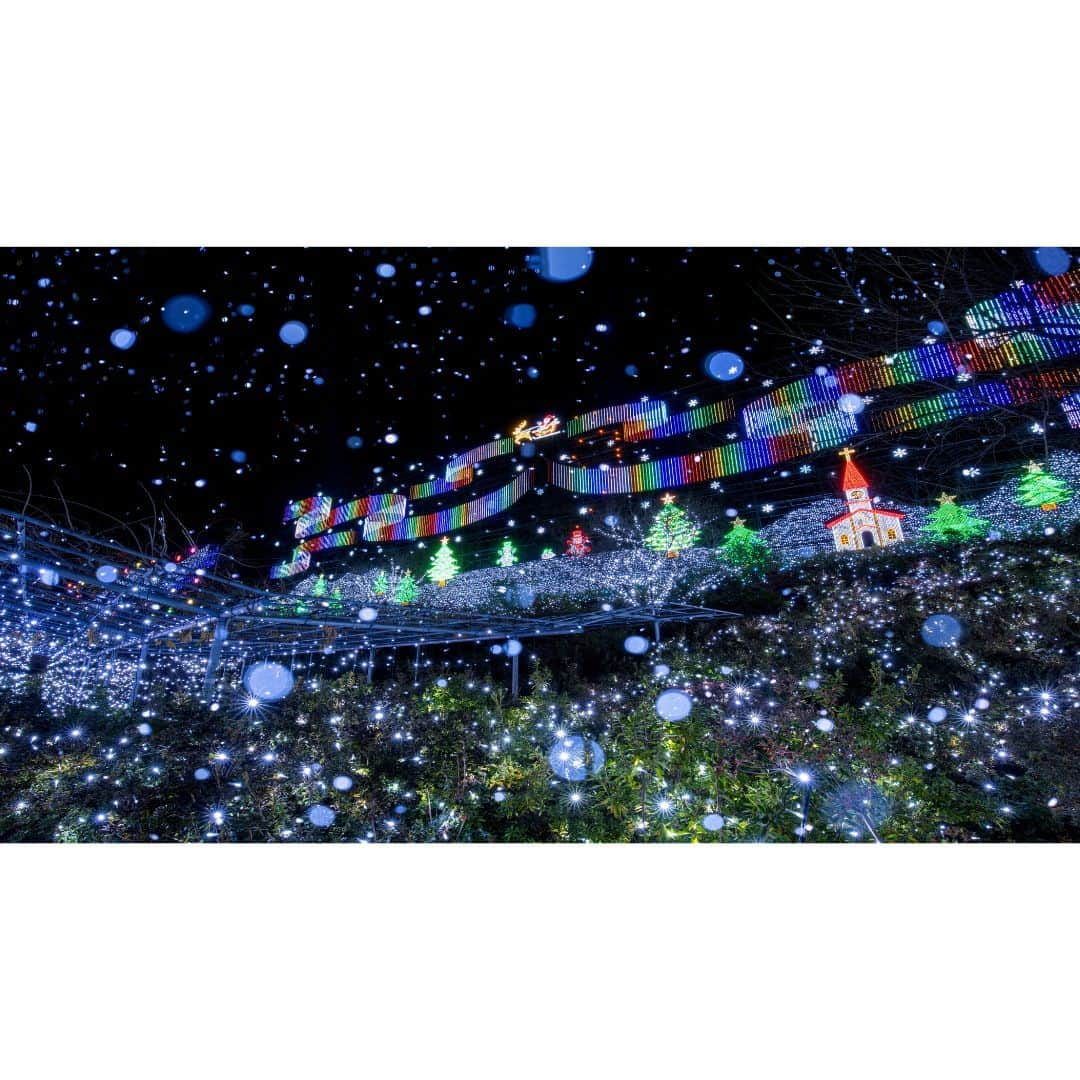 TOBU RAILWAY（東武鉄道）さんのインスタグラム写真 - (TOBU RAILWAY（東武鉄道）Instagram)「. . 📍Tochigi – Ashikaga Flower Park  Experience one of the 3 great illumination displays of Japan! . The illumination in Ashikaga Flower Park has been chosen as one of the 3 great illumination displays of Japan! It features 5 million bulbs, and charms everyone who visits. The illumination events held in the period from mid-October to mid-February are divided into 3 themes. The 1st is the “Fusion of Light and Salvia Leucantha Flowers.” The 2nd is “Christmas Fantasy,” held from late November to late December. The 3rd is the “Competition of Light and Winter-Blooming Peony Flowers.” Enjoy amazing illumination here that you can’t see anywhere else.  . . . . Please comment "💛" if you impressed from this post. Also saving posts is very convenient when you look again :) . . #visituslater #stayinspired #nexttripdestination . . #tochigi #ashikagaflowerpark #illumination #recommend #japantrip #travelgram #tobujapantrip #unknownjapan #jp_gallery #visitjapan #japan_of_insta #art_of_japan #instatravel #japan #instagood #travel_japan #exoloretheworld #ig_japan #explorejapan #travelinjapan #beautifuldestinations #toburailway #japan_vacations」10月16日 18時00分 - tobu_japan_trip