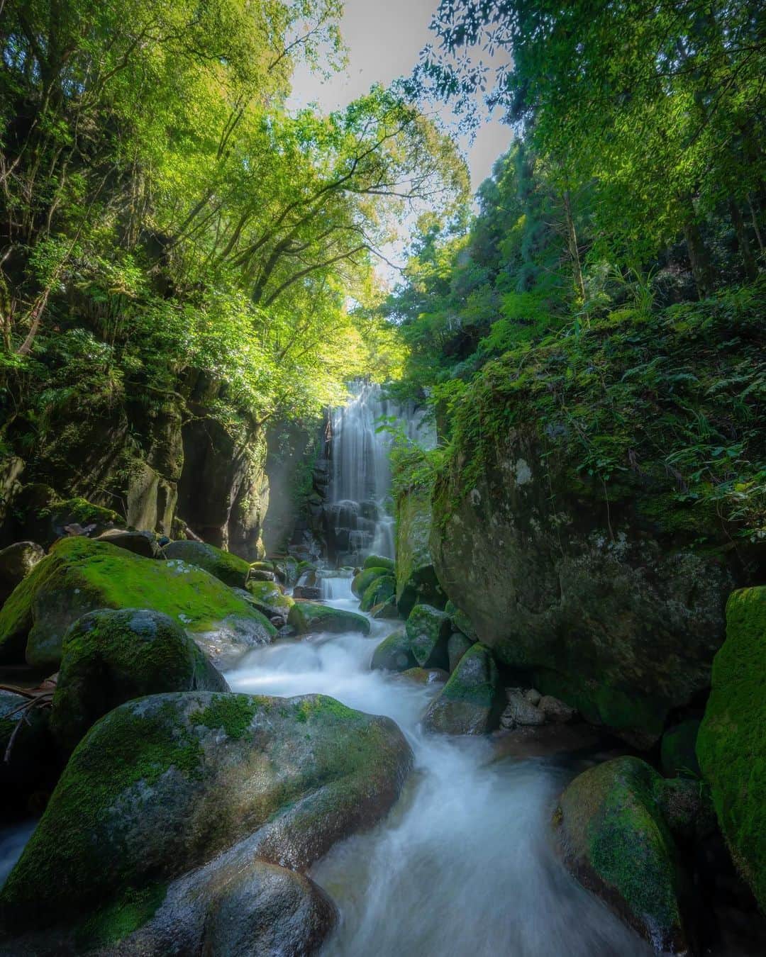 Visit Wakayamaのインスタグラム：「. Recharge your senses in the lush greenery and bracing waters of Kuwanoki Falls. 📸 @planas1.4 📍 Kuwanoki Falls, Wakayama . . . . . #discoverjapan #unknownjapan #instajapan #landscape #japan #japantrip #japantravel #beautifuldestinations #wakayama #wakayamagram #explore #adventure #visitwakayama #travelsoon #visitjapan #travelgram #stayadventurous #igpassport #explorejapan #lonelyplanet #sustainabletravel #bucketlist #roadslesstraveled #chasingwaterfalls #autumninjapan #fallleaves #forestbathing #kuwanokifalls #waterfalls #shingu」