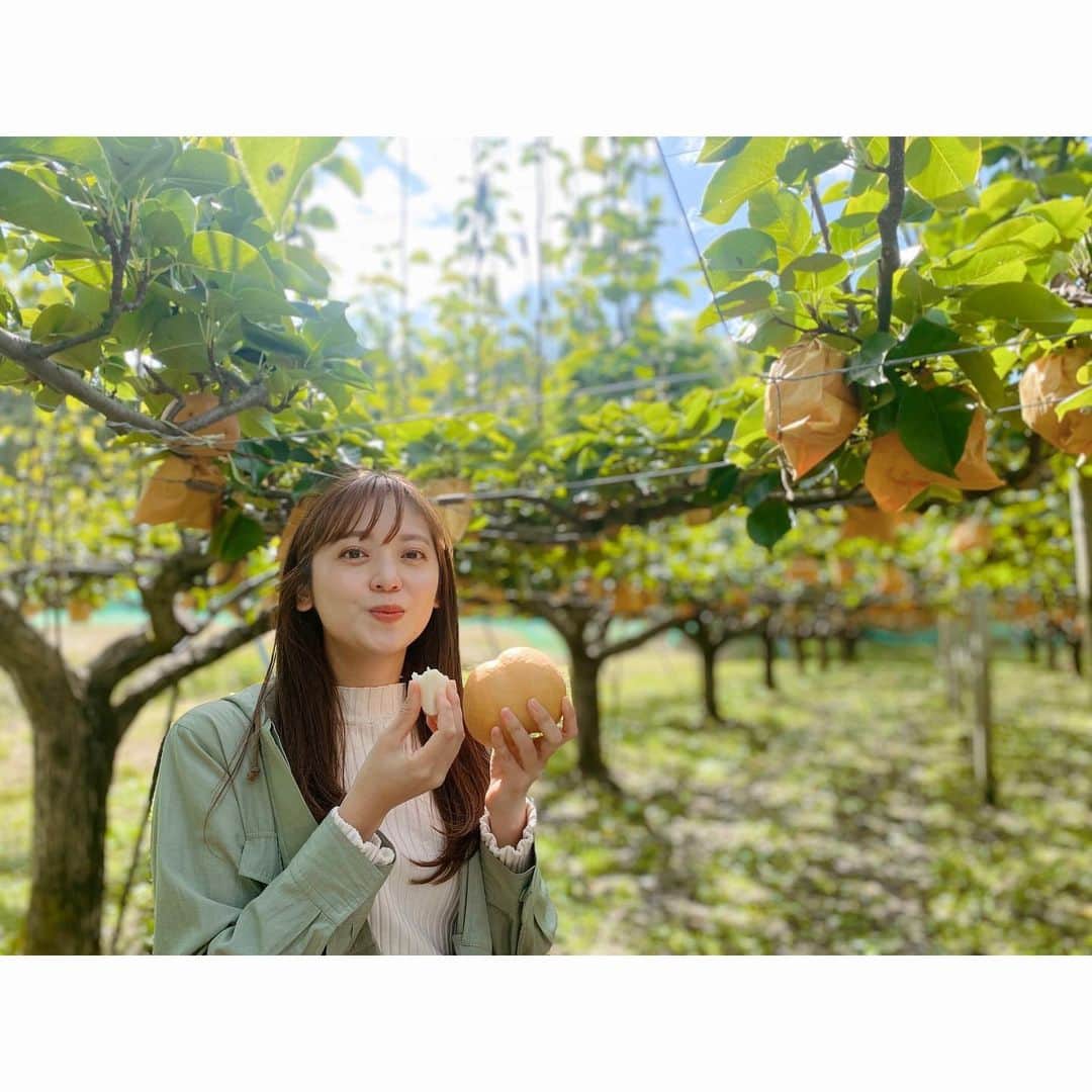 森夏美のインスタグラム：「. タイチサン！の日帰り女子旅をみて 旅欲が一気に高まっております🚗🌿  写真は少し前に行った梨狩り☺️  次は紅葉狩りかな〜🍁  #日帰り旅 #女子旅 #ドライブ #味覚狩り #東海テレビ #アナウンサー #森夏美」