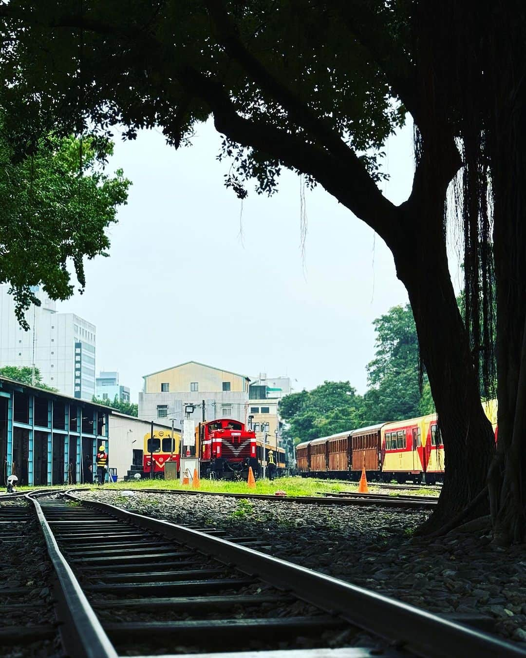 伊藤大地さんのインスタグラム写真 - (伊藤大地Instagram)「阿里山森林鉄道車庫園区」10月16日 18時38分 - trimtrab88