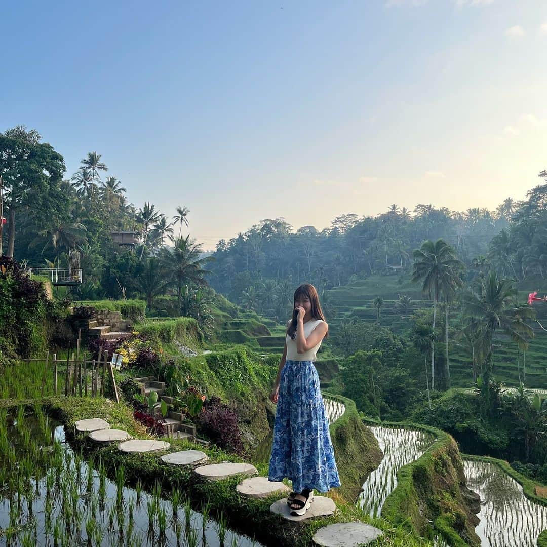 ほのぴすのインスタグラム：「感動した棚田の景色✨ キンタマーニに向かう途中にあったの！！  バリといえば海だったけど海は結局見なくて、森の景色を沢山見た笑笑  もっかい行きたいいいい！！！！  #バリ島 #バリ　#バリ棚田 #バリ旅行 #インドネシア #インドネシア女子旅 #インドネシア旅行 #バリ島旅行 #ウブド #ウブド観光」