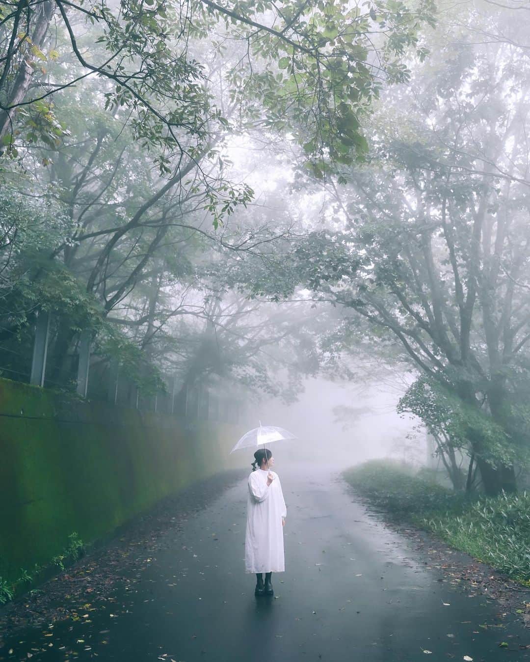 yukiさんのインスタグラム写真 - (yukiInstagram)「・ #霧 #霧の森  #僕らが見ている風景 __________________________ 日々の撮影記事やコラム更新中！ ・・・・・・・・・・・・・・・ ◉FAN限定サイト◉ https://www.fansnet.jp/sty830 __________________________」10月16日 19時23分 - sty830