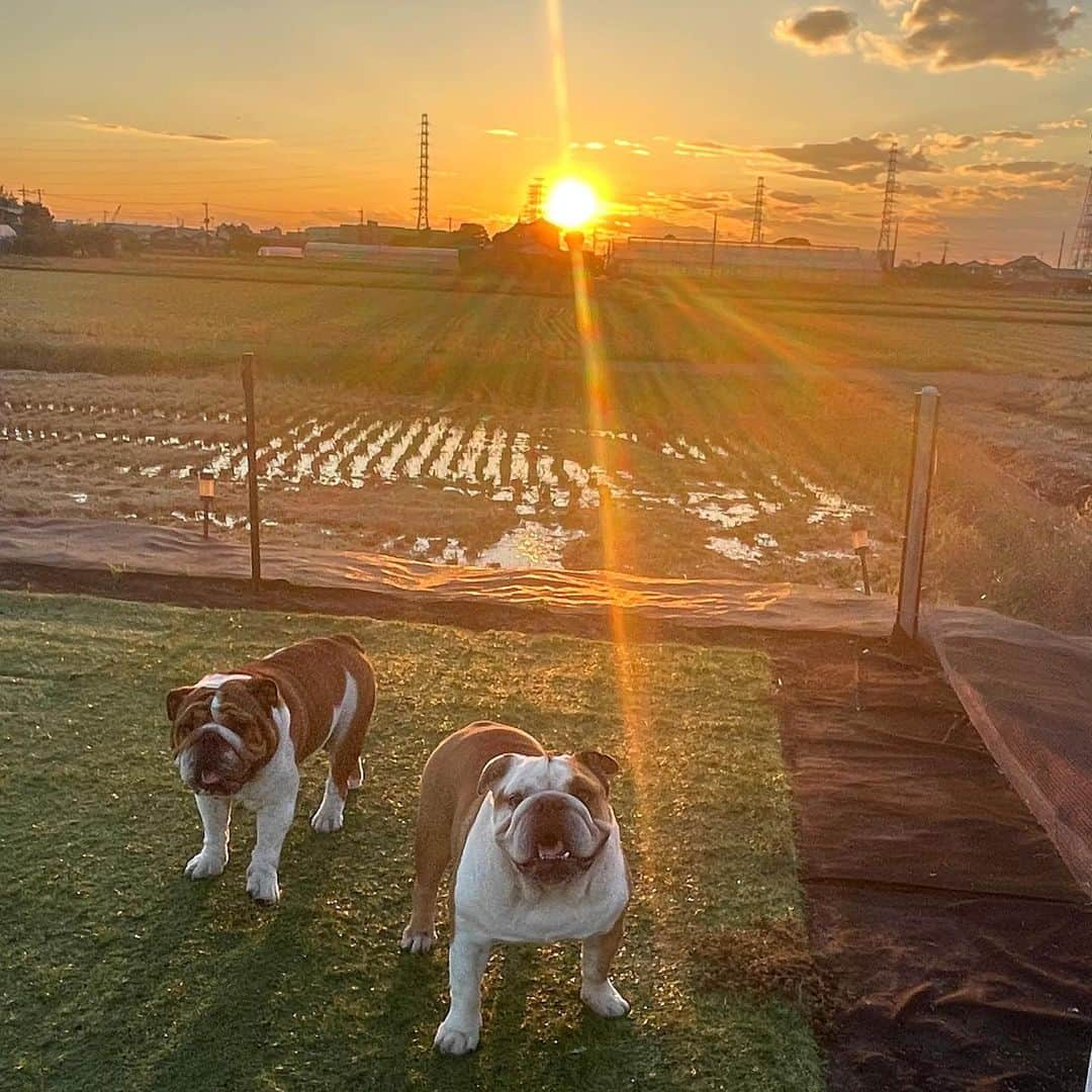 北斗晶のインスタグラム