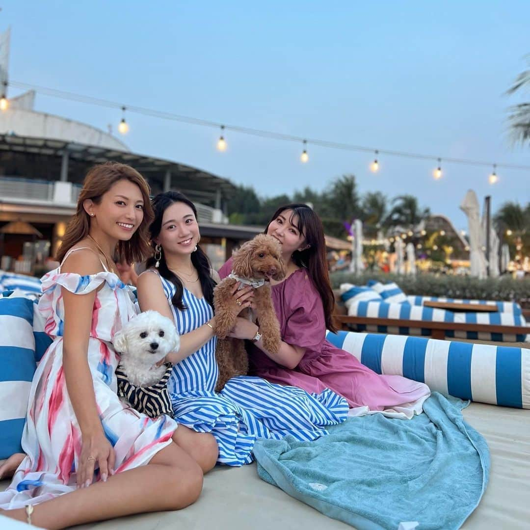 市原彩花さんのインスタグラム写真 - (市原彩花Instagram)「Stella Seaside Lounge⛱️ I didn't know there was a beach club near Changi Airport! @stellaseasidelounge   チャンギ空港のすぐ横にあるビーチクラブ⛱️ セントーサ島以外にこんなとこあるの知らなかった😍 広いしゆったりしてて良い🩵 フードもドリンクも美味しい(特に生牡蠣とイカ焼き🤤)  白茶ワンズは @mariya_tachibana_official とこの子だよ🐶🤍🤎  #stellaseasidelounge#singapore#シンガポール#singapura#海外生活#海外旅行#海外移住#シンガポール生活#シンガポール在住#シンガポール観光#シンガポール旅行#singaporetravel#singaporetrip#beachclubs #あーちゃんシンガポール」10月16日 19時36分 - ayaka_ichihara