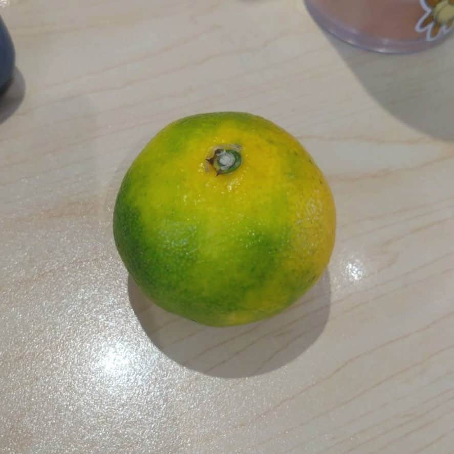 アーキ ホームライフのインスタグラム：「こんにちは！ 福知山中央店の宮堂です🍎  先日今年初のみかんを食べました🍊 色はまだ青いですが、実は甘くて美味しかったです♪  最近肌寒くなってきたので、風邪をひかないように体調管理のためにもビタミンを摂っていきたいです🤧  みなさまもぜひお身体にはお気をつけてお過ごしください！  #homelife  #アーキホーム #ホームライフ #ハウスメーカー #建築  #規格住宅 #注文住宅 #自由設計 #みかん #秋」