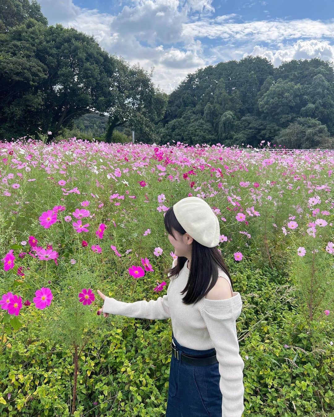 希山愛さんのインスタグラム写真 - (希山愛Instagram)「* コスモス〜💐  まだ満開ではなかったんやけど 綺麗で癒されました😌 ♡  #コスモス #お花 #秋 #福岡  #kosumosu #flower #followme #99line」10月16日 19時39分 - kiyama_ai_official