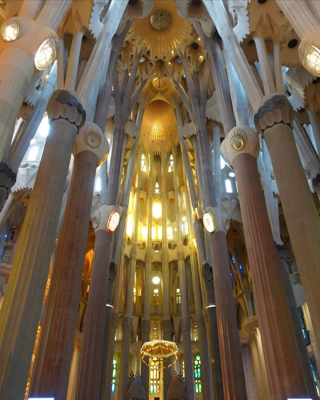一双麻希 さんのインスタグラム写真 - (一双麻希 Instagram)「YouTubeのアップとともに、また旅を振り返ってしまうのですが。笑 バルセロナの定番😌ガウディ建築サグラダ・ファミリア。 外観のイメージはあったけど 中がこんなに陽のパワー溢れる鮮やかな聖堂だったなんて。。  何より惹かれたのは、 140年以上建設が続いている中での歴史。 ガウディの人生の半分以上の時間をこの建築に費やし、 ガウディ死後は、内紛で設計図もほぼ消失し、資金もなく.. 30年以上建築が滞った時は、 もう完成は絶望的で、諦めて博物館にするという案もあったとか。 それでも歴代の建築家が設計図を推測・復元し、 どうにかこのたった一つの聖堂を完成させようという 強い意思が、ガウディの死後100年経っても、 時代を超えて受け継がれていることが素晴らしいなと。。  帰国後も調べれば調べるほど偉大さを感じて感動して.. 文が長くなってしまいます🙇‍♀️😂　  詳しくは #いっそうまきchannel  #スペイン旅行 #ヨーロッパ旅行　  #バルセロナ #サグラダファミリア #sagradafamilia #gaudi #ガウディ #スペイン #ヨーロッパ一人旅 #バルセロナ観光 #バルセロナ旅行 #女一人旅 #女子旅 #一人旅 #ひとり旅 #europe #spain #barcelona #sansebastian #旅好き #旅好き女子 #山ガール #アウトドア女子 #旅好きな人と繋がりたい #海外旅行 #worldtravel #worldtraveler #trip #いっそうまき旅行記」10月16日 20時08分 - isso_maki315