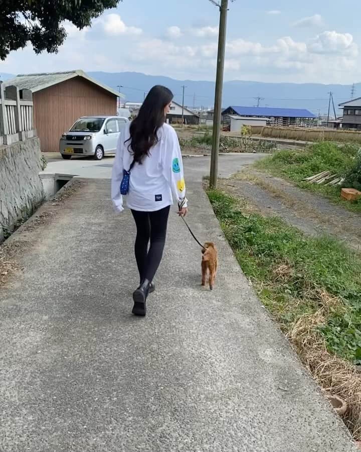 モラレスしれなのインスタグラム：「🌾🌝 金木犀の香りがする〜！て言いながら お散歩してる最近たち」