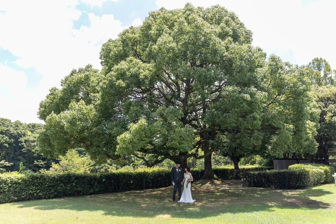 迎賓館のインスタグラム：「@geihinkan1970  garden wedding*°♡  ✼••┈┈┈┈┈┈┈┈┈┈┈┈┈┈┈┈┈┈••✼   1日2組限定の贅沢✨ 大阪万博で世界中の国賓をもてなした本物の迎賓館  都心から少し足を延ばすと 8万坪の緑が広がる圧倒的な開放感𓂃｡:*  四季折々の美食をお贈りします𓍯  ご試食つきブライダルフェアのご予約は DMからも承っております◎  ✼••┈┈┈┈┈┈┈┈┈┈┈┈┈┈┈┈┈┈••✼  #最高のおもてなしの舞台 #迎賓館 #ghk花嫁 #結婚式 #wedding #ウェディング #ガーデンウェディング #緑溢れる結婚式 #森の中の結婚式 #プレ花嫁 #結婚式準備」