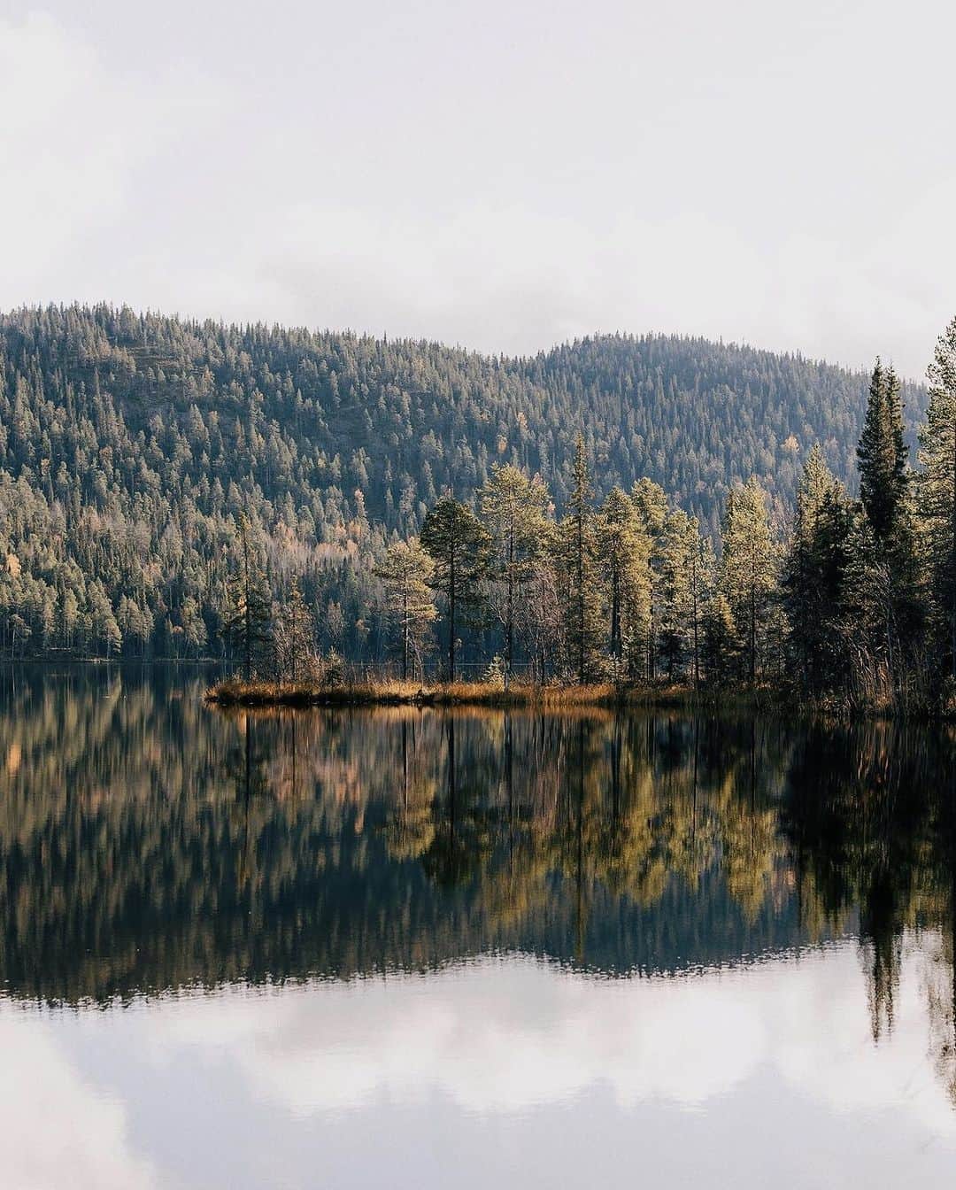 フィンランド政府観光局さんのインスタグラム写真 - (フィンランド政府観光局Instagram)「❓ご存知でしたか? 🌳🌲🌳ありのままの静かな大自然の中で時間を過ごすことは体に良いものです。研究によれば、森の中でわずか8分過ごすだけで、体の中のストレスホルモンを減らすことができます。フィンランドは表面積に占める森の割合がヨーロッパのどこよりも高い国です。😊 ． 📸 @johannaketo Kiitos! 🙏 #visitfinland #ourfinland #visitfinlandjp #finland #北欧旅行 #travelgram #フィンランド #フィンランド政府観光局 #北欧 #travel #instatravel #travel #travelgram #travelling #traveler #旅したくなるフォト #旅行 #旅 #海外旅行 #travelphotography #旅行大好き #旅行好き #旅スタグラム #旅好き #ヨーロッパ旅行 #旅に出たい #トラベル #森」10月16日 20時51分 - visitfinlandjapan