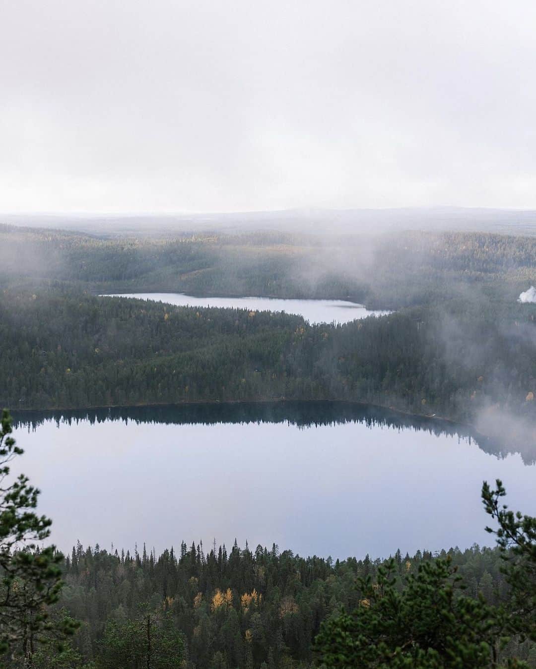フィンランド政府観光局さんのインスタグラム写真 - (フィンランド政府観光局Instagram)「❓ご存知でしたか? 🌳🌲🌳ありのままの静かな大自然の中で時間を過ごすことは体に良いものです。研究によれば、森の中でわずか8分過ごすだけで、体の中のストレスホルモンを減らすことができます。フィンランドは表面積に占める森の割合がヨーロッパのどこよりも高い国です。😊 ． 📸 @johannaketo Kiitos! 🙏 #visitfinland #ourfinland #visitfinlandjp #finland #北欧旅行 #travelgram #フィンランド #フィンランド政府観光局 #北欧 #travel #instatravel #travel #travelgram #travelling #traveler #旅したくなるフォト #旅行 #旅 #海外旅行 #travelphotography #旅行大好き #旅行好き #旅スタグラム #旅好き #ヨーロッパ旅行 #旅に出たい #トラベル #森」10月16日 20時51分 - visitfinlandjapan