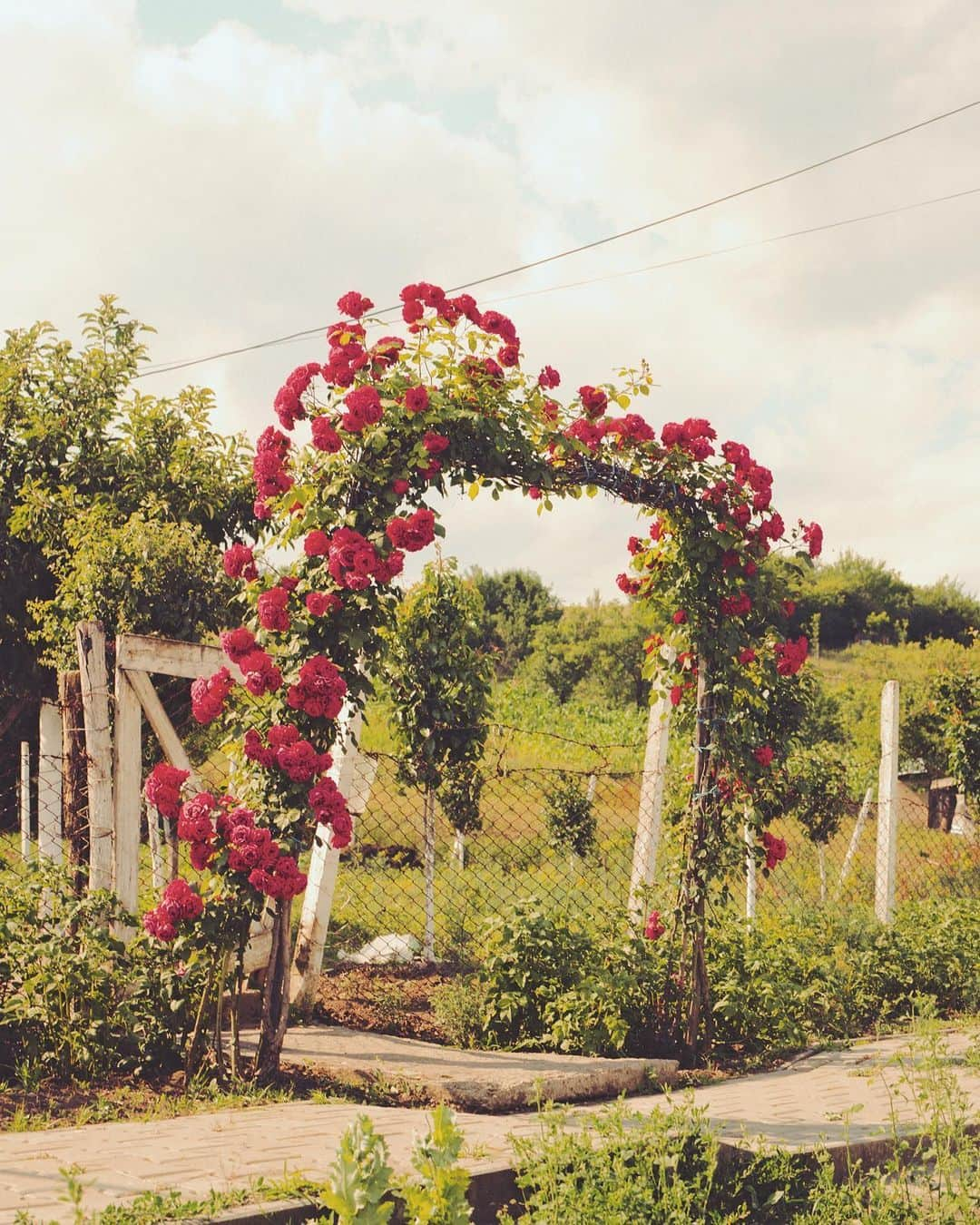 Kinfolk Magazineさんのインスタグラム写真 - (Kinfolk MagazineInstagram)「Pretty in pink 🌺 A floral arch captured in Transylvania and featured in Kinfolk Wilderness.  (Photo: @lucaslehmann)」10月16日 21時02分 - kinfolk