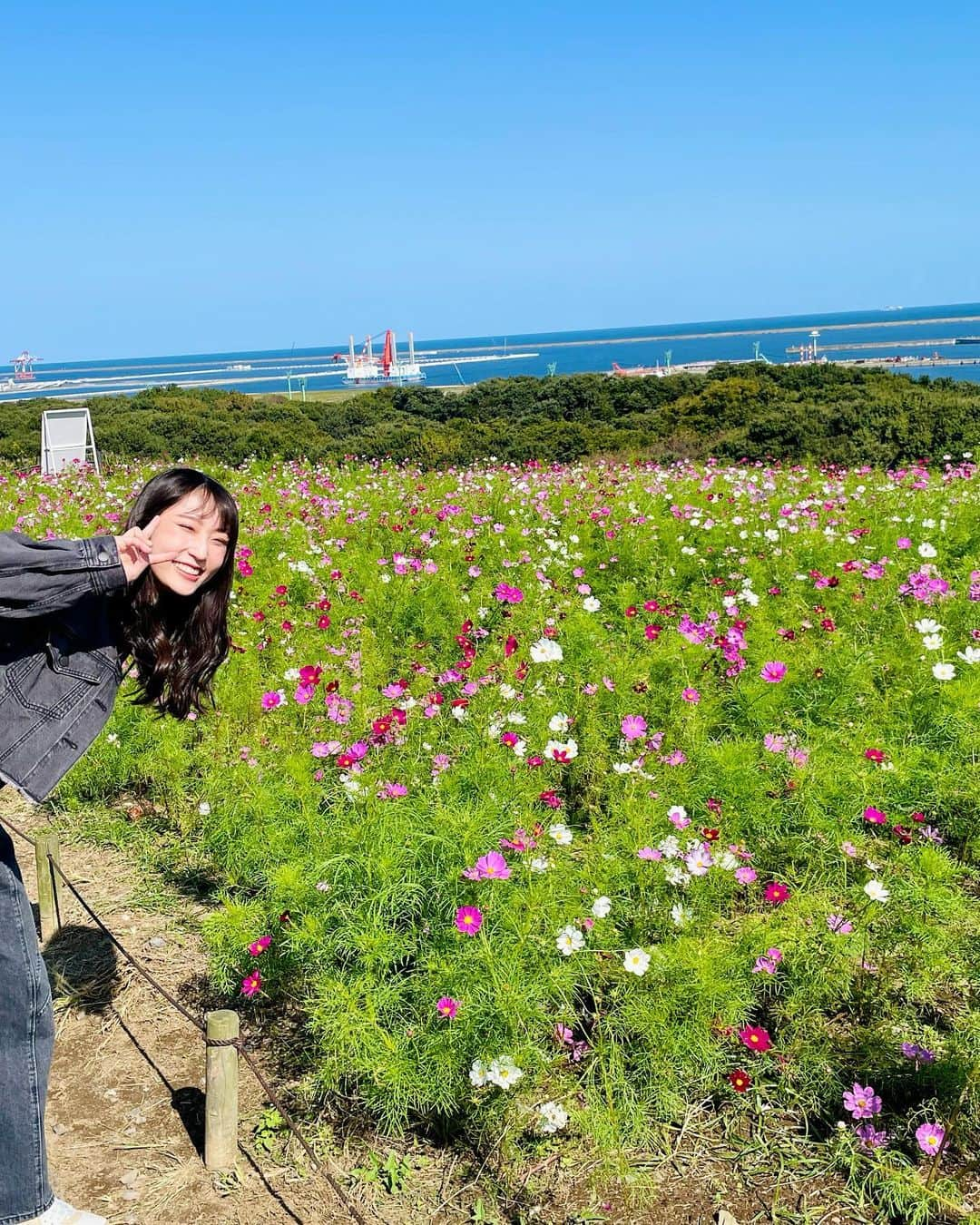 段原瑠々さんのインスタグラム写真 - (段原瑠々Instagram)「🌳  お母さんとコキア見に行った☺️  快晴で空気が澄んでて気持ち良かったです〜！！    #juicejuice #段原瑠々 #国営ひたち海浜公園 #コキア」10月16日 21時12分 - ruru_dambara.official