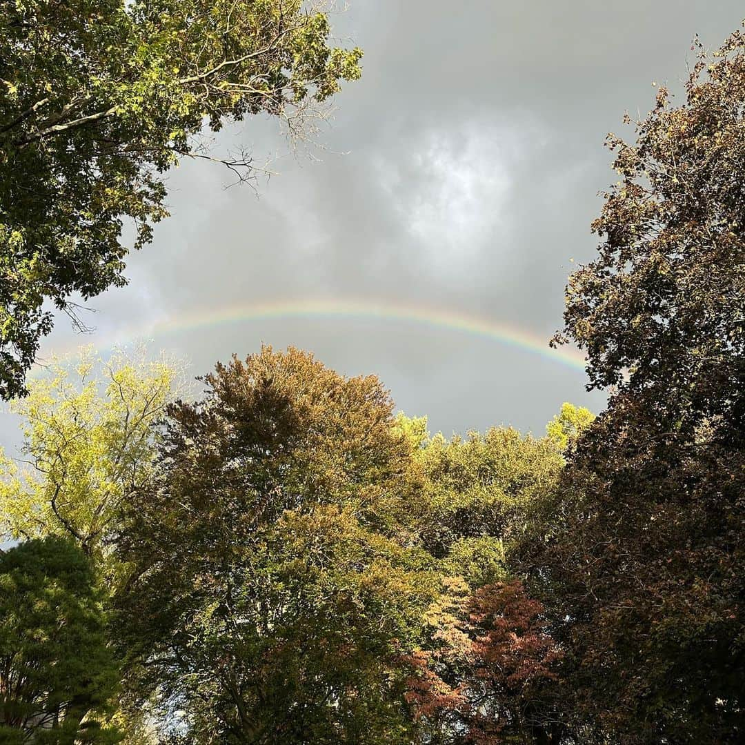 ザックポーゼンさんのインスタグラム写真 - (ザックポーゼンInstagram)「Cherished Sunday with mom and dad, Late Harvests, cleaning out the garden beds, wild watercress, Japanese curry , puppies and my man .🍁🌈. “Nature’s first green is gold, Her hardest hue to hold. Her early leaf’s a flower; But only so an hour. Then leaf subsides to leaf. So Eden sank to grief, So dawn goes down to day. Nothing gold can stay.” #RobertFrost」10月17日 2時48分 - zacposen