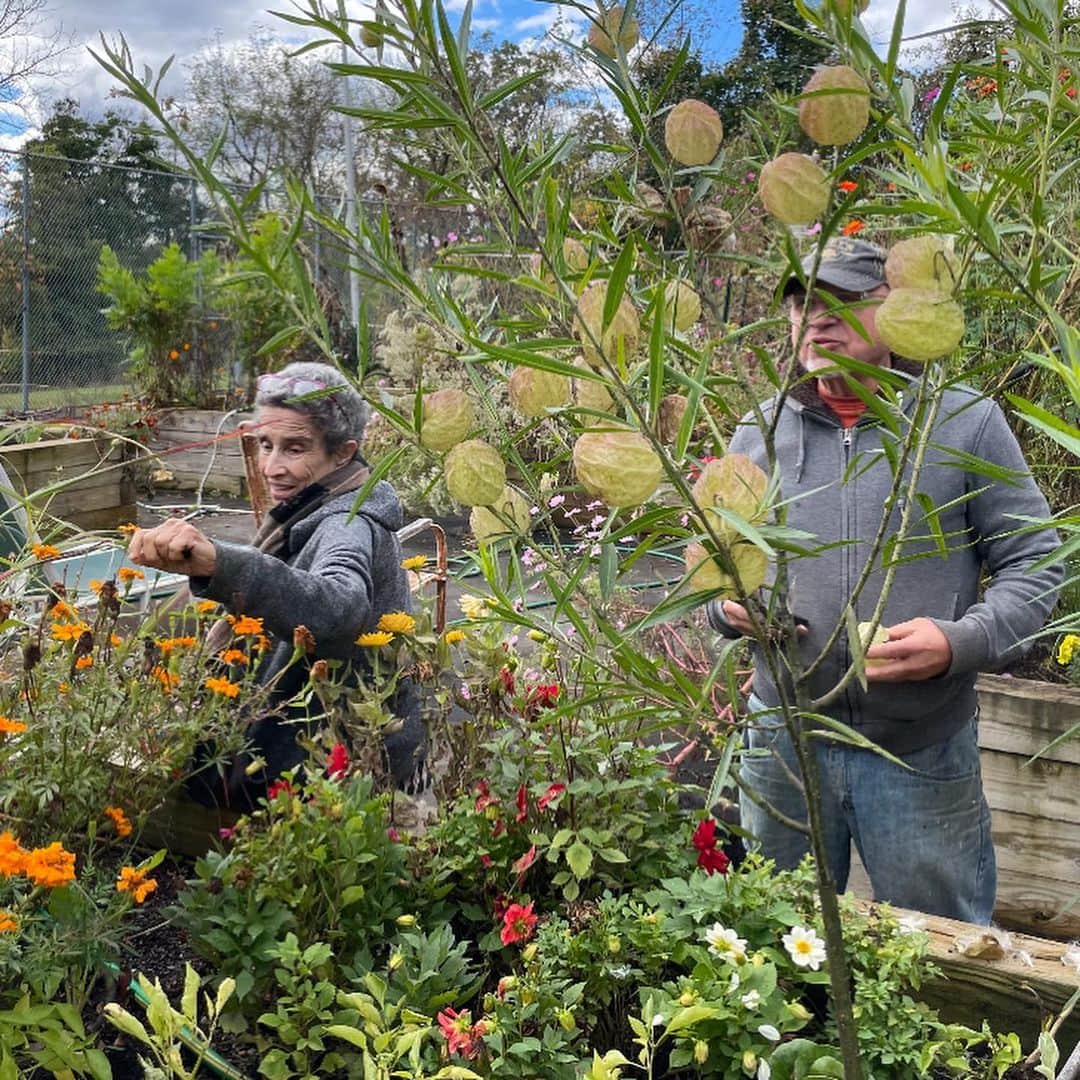 ザックポーゼンのインスタグラム：「Cherished Sunday with mom and dad, Late Harvests, cleaning out the garden beds, wild watercress, Japanese curry , puppies and my man .🍁🌈. “Nature’s first green is gold, Her hardest hue to hold. Her early leaf’s a flower; But only so an hour. Then leaf subsides to leaf. So Eden sank to grief, So dawn goes down to day. Nothing gold can stay.” #RobertFrost」