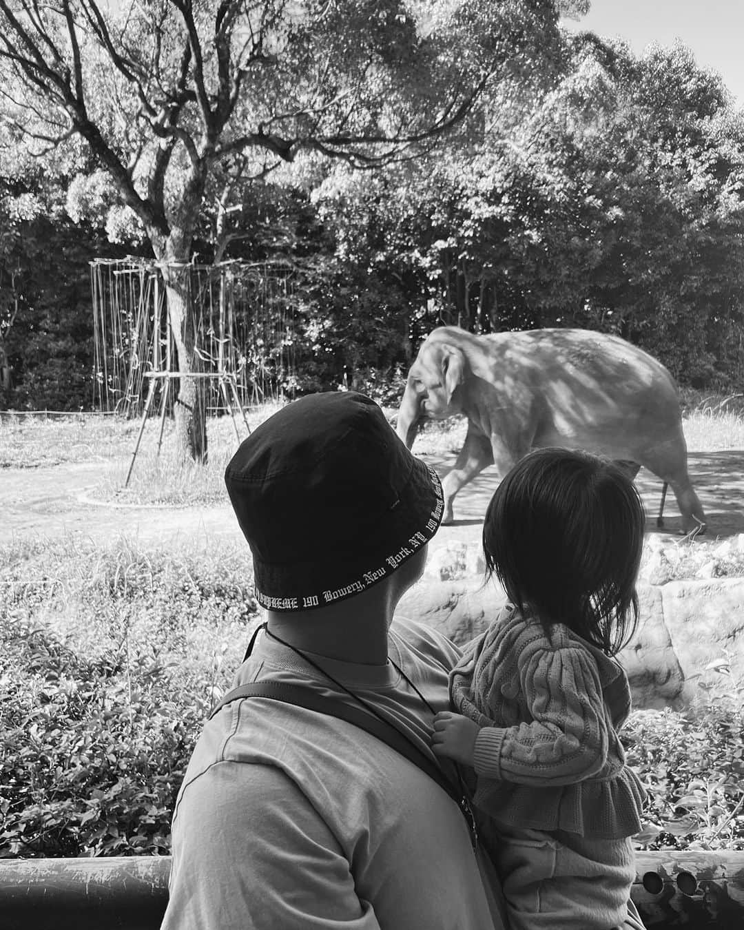 淡輪優希さんのインスタグラム写真 - (淡輪優希Instagram)「こんばんは🌙 我が家ではこのオフ、このインスタアカウントでサブスクリプション投稿をスタートしてみることにしました！  このサブスクでは、公開アカウントよりも一歩二歩踏み込んだ、ちょっとコアな浅村家の日常をお届けしたいと思っています🤝(主に浅村さんのプライベートをお届けできればと思ってます。笑)  本人、自分でのSNSはまだ考えていないみたいなのですが、サブスクに登録してくださるファンの方になら、もう少し普段の姿を知ってもらえたら…とのことで、まずは私のアカウントでのサブスクというかたちで発信してみることにしました。  いつまで続けるか、どこまで載せていくかなど、まだまだ未定な部分も多いですが、登録してくださった皆さんが少しでも楽しんでもらえたら嬉しいです☺️  質問コーナーなども浅村への質問は浅村本人が答えたり、私も今まで以上に踏み込んだ内容にお答えできるかなと思ってます！ 私個人としてはインスタライブもちょこちょこやったりして、公開では避けてる質問とか、ちょっと恥ずかしくて答えてないのとか、あえて言ってないこととかもあるし…でもサブスク内ならもっと素をだせるかなぁって思ってます。(あさむも出てくれたらいいね🐻笑)  ミニムの写真もがっつり顔出しはせずとももっと載せたいのたくさんあるんだぁ🧸💛  応援してくださるファンの方だけと思うと載せたいものも多くなる…  特にここに人を集めたいとかは思ってなくて、本当に見たいと思う方のみ参加してもらえたらと思ってます🙌 私自身もなんだかちょっとした身内ができるみたいで楽しみです！♡ ゆるりと浅村家を発信していくので、どうぞよろしくお願い致します〜  ※登録方法はインスタのトップページのサブスクリプションボタンからできます！🫡」10月16日 21時53分 - yukitannowa