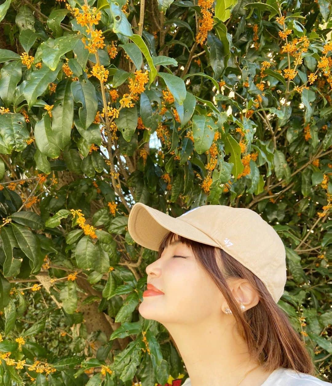 平子理沙のインスタグラム：「今日は横浜にある 根岸森林公園で青空散歩🚶💕 キンモクセイの香りに癒され、きれいなコスモスの花に癒され🌸 キラキラした緑に癒されて🌳✨✨ たまに木に抱きついてアーシング。 青空のブルーと葉の グリーンのコントラストが大好き🩵💚 キンモクセイの香りもだーい好き🧡 🌿🌿🌿🌿🌿🌿🌿🌿🌿🌿🌿🌿  #キンモクセイ🧡#コスモス🌸 #りちゃんぽ #lifestyle#nature💚#fashion#beauty#risahirako #平子理沙」