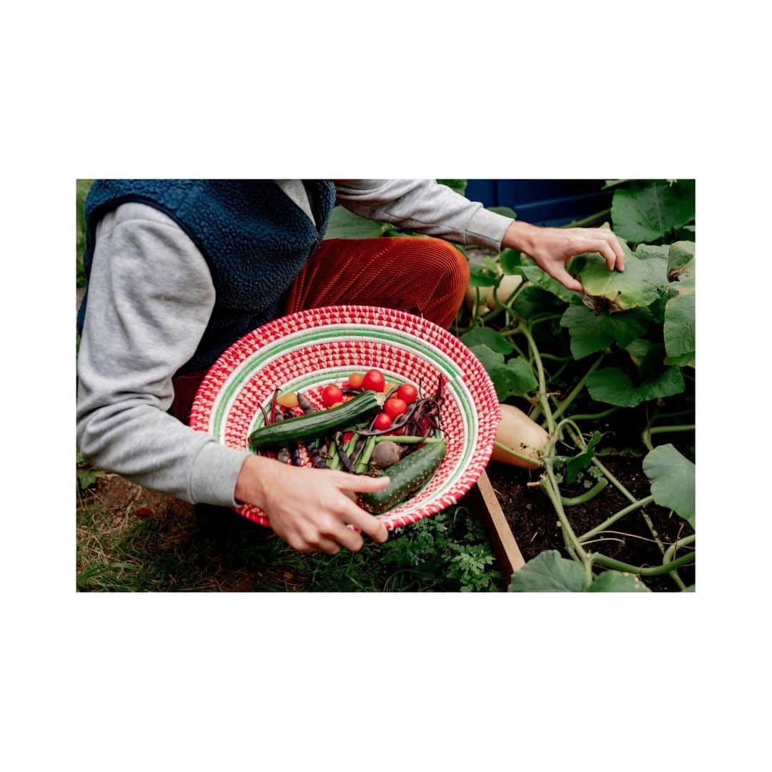 Airbnbさんのインスタグラム写真 - (AirbnbInstagram)「Help yourself to the veg in the garden.  🏡 Mendip House 📍 Axbridge, Somerset, UK」10月16日 22時14分 - airbnb