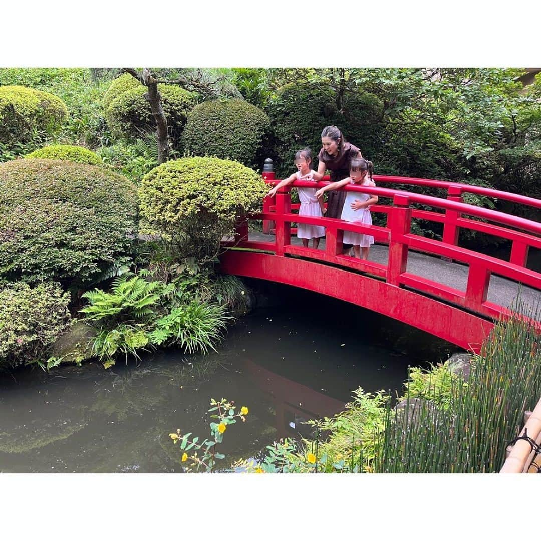 望月みささんのインスタグラム写真 - (望月みさInstagram)「夏が終わってしまったので、大急ぎで夏の思い出を残していかねばw  今年のオットちゃんのお誕生日にはのんびり庭園をお散歩できる鶯啼庵へ。  この日の午後もオットちゃんは仕事があったので、実際はそんなに時間がなかったのですが、ゆっくり流れる時間の中で丁寧に食事をして、のんびりお散歩出来てとても心地のいい時間でした🥹  人間は五感で沢山の情報をキャッチするので、目から入る景色や静けさの中でそっと優しい琴の音色、出汁香る美味しいお料理、森林浴、なのりのとのハグ。  五感全てが満たされる最高の時間でした🧡 週末も全員が揃って丸一日休みと言う日が少なくなったけれど、その時間の中がギュッといい時間であればそれでよし😆 と感じた日でした🤞  #時差スタグラム#夏の思い出#鶯啼庵#癒しの時間#誕生日祝い#🎂」10月16日 22時15分 - mochizuki.misa