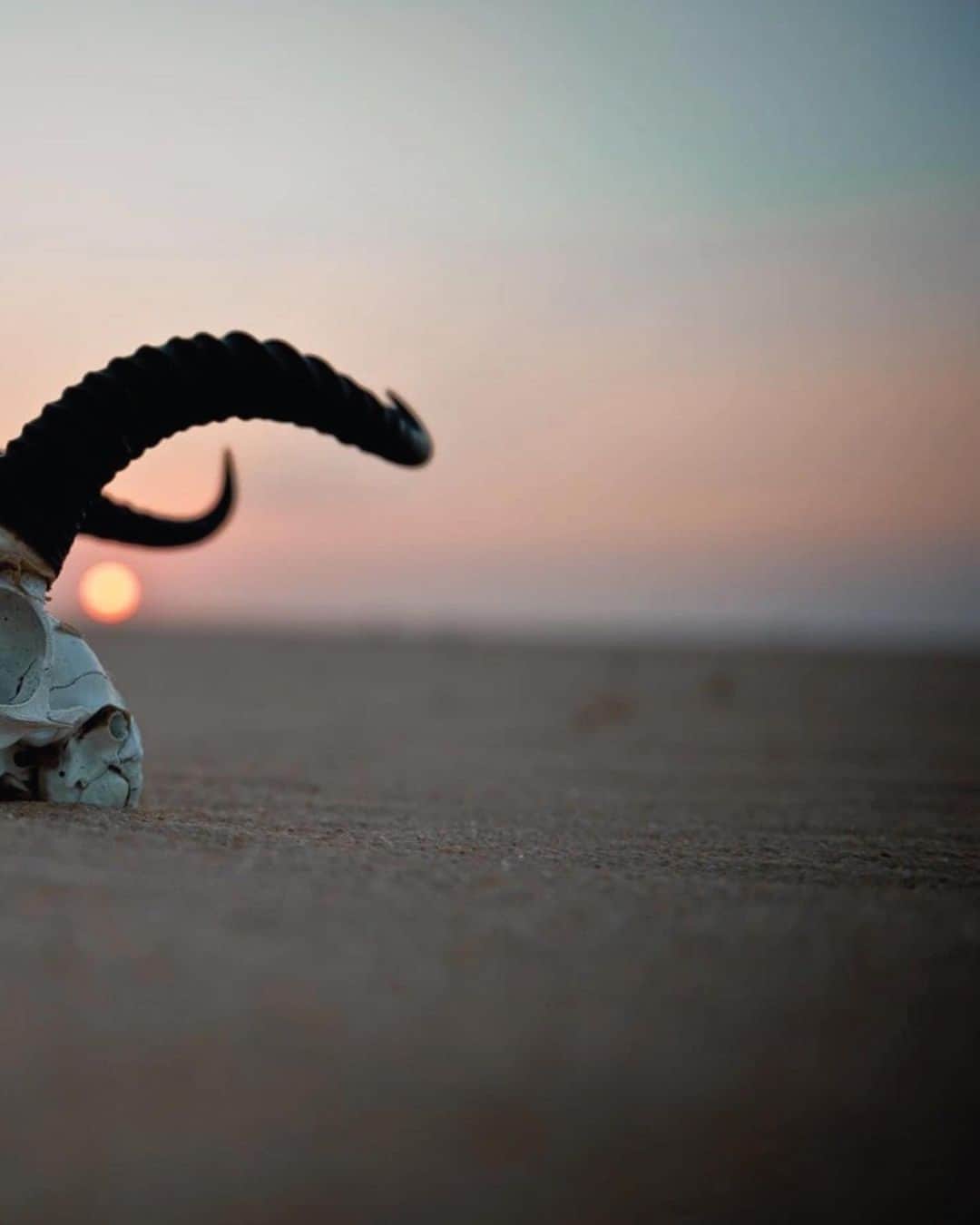 ジミー・チンさんのインスタグラム写真 - (ジミー・チンInstagram)「Life and death in the Ennedi Desert.  Chad, Africa.  Link in bio for prints.」10月16日 22時41分 - jimmychin