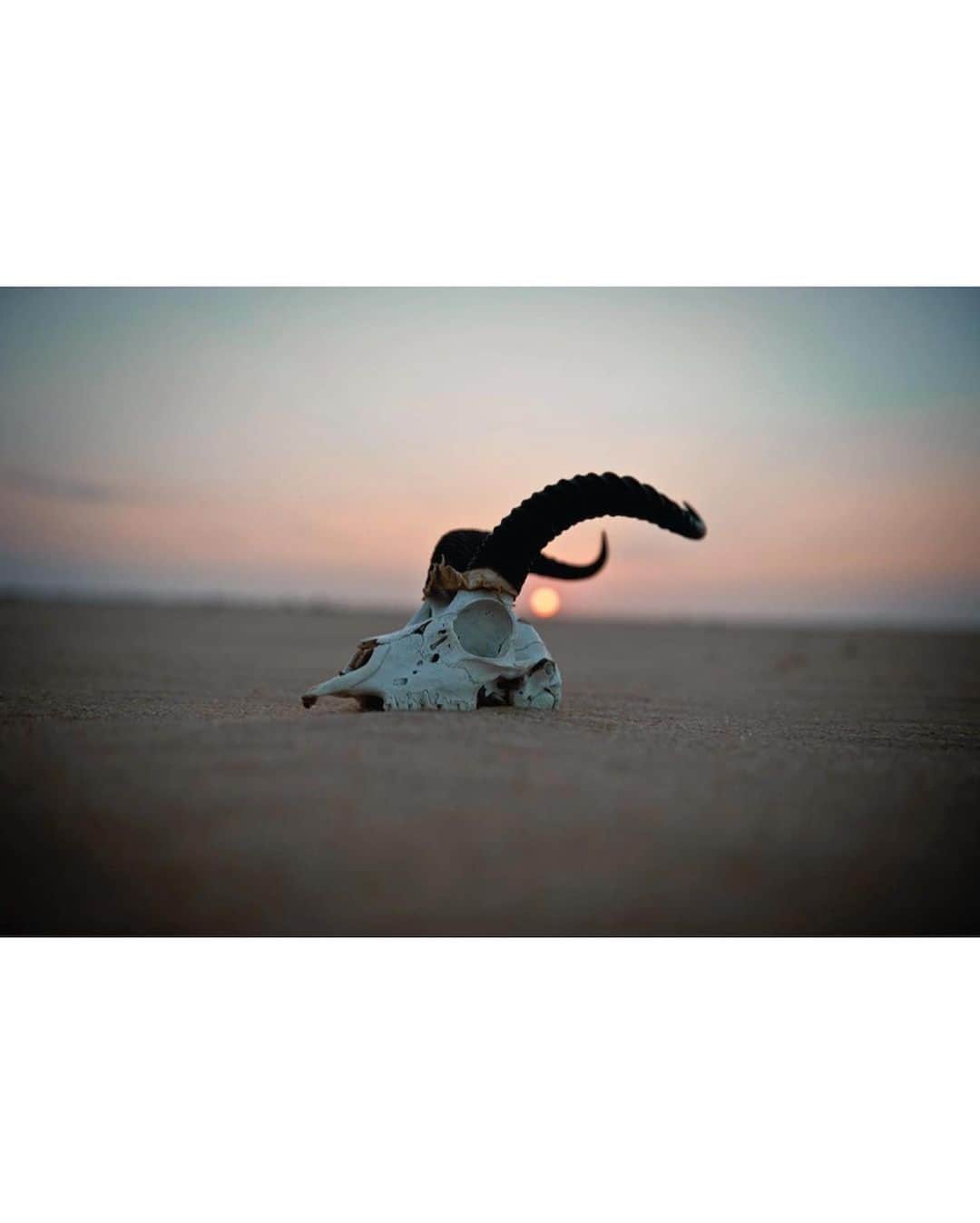 ジミー・チンさんのインスタグラム写真 - (ジミー・チンInstagram)「Life and death in the Ennedi Desert.  Chad, Africa.  Link in bio for prints.」10月16日 22時41分 - jimmychin