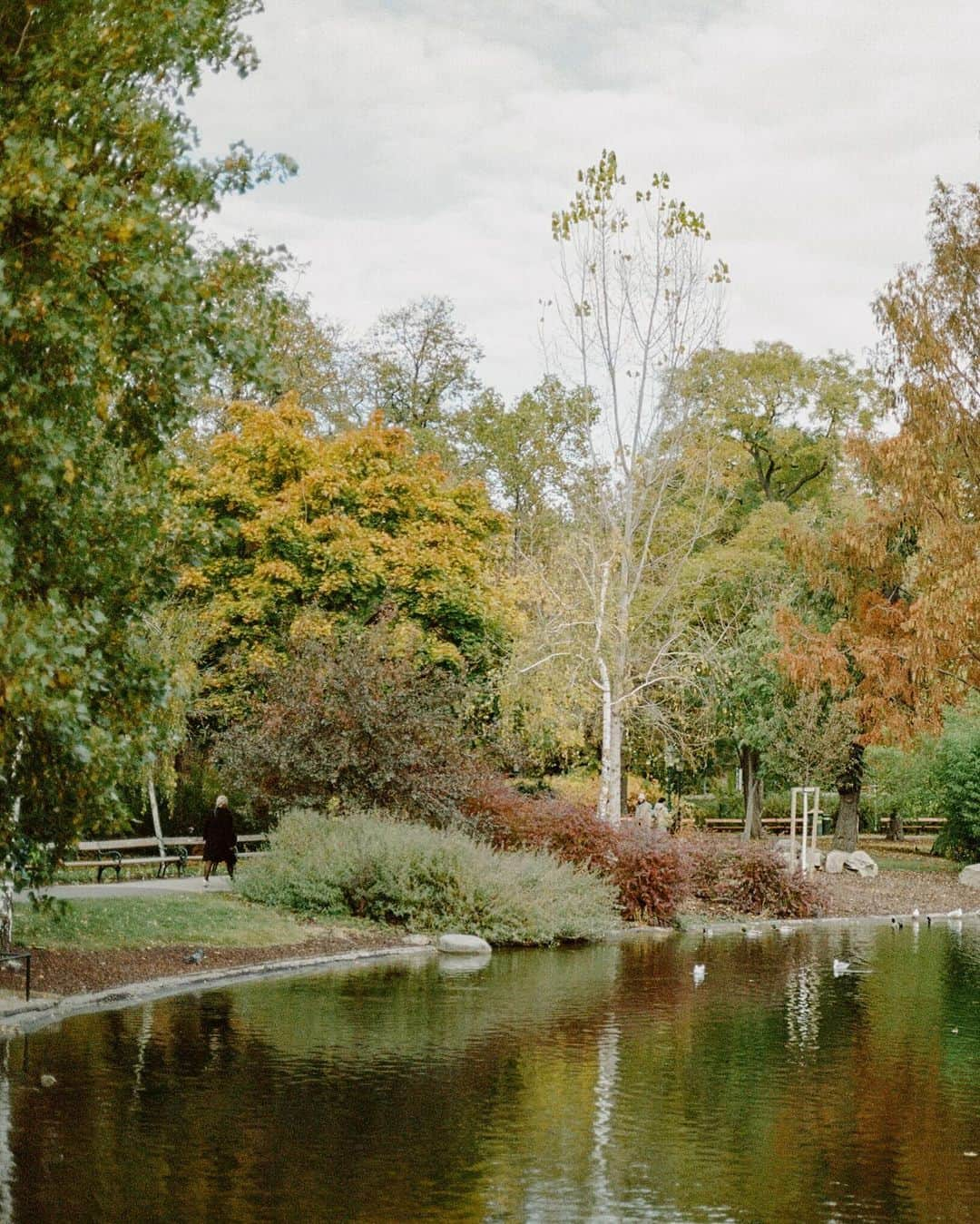 Wien | Viennaさんのインスタグラム写真 - (Wien | ViennaInstagram)「Falling for fall in Vienna! 🍂🍁❤️   #vienna #wien #visitvienna #viennanow #austria #österreich #strauss #stadtpark #autumnvibes #autumncolors #autumninvienna #herbstliebe」10月16日 22時51分 - viennatouristboard